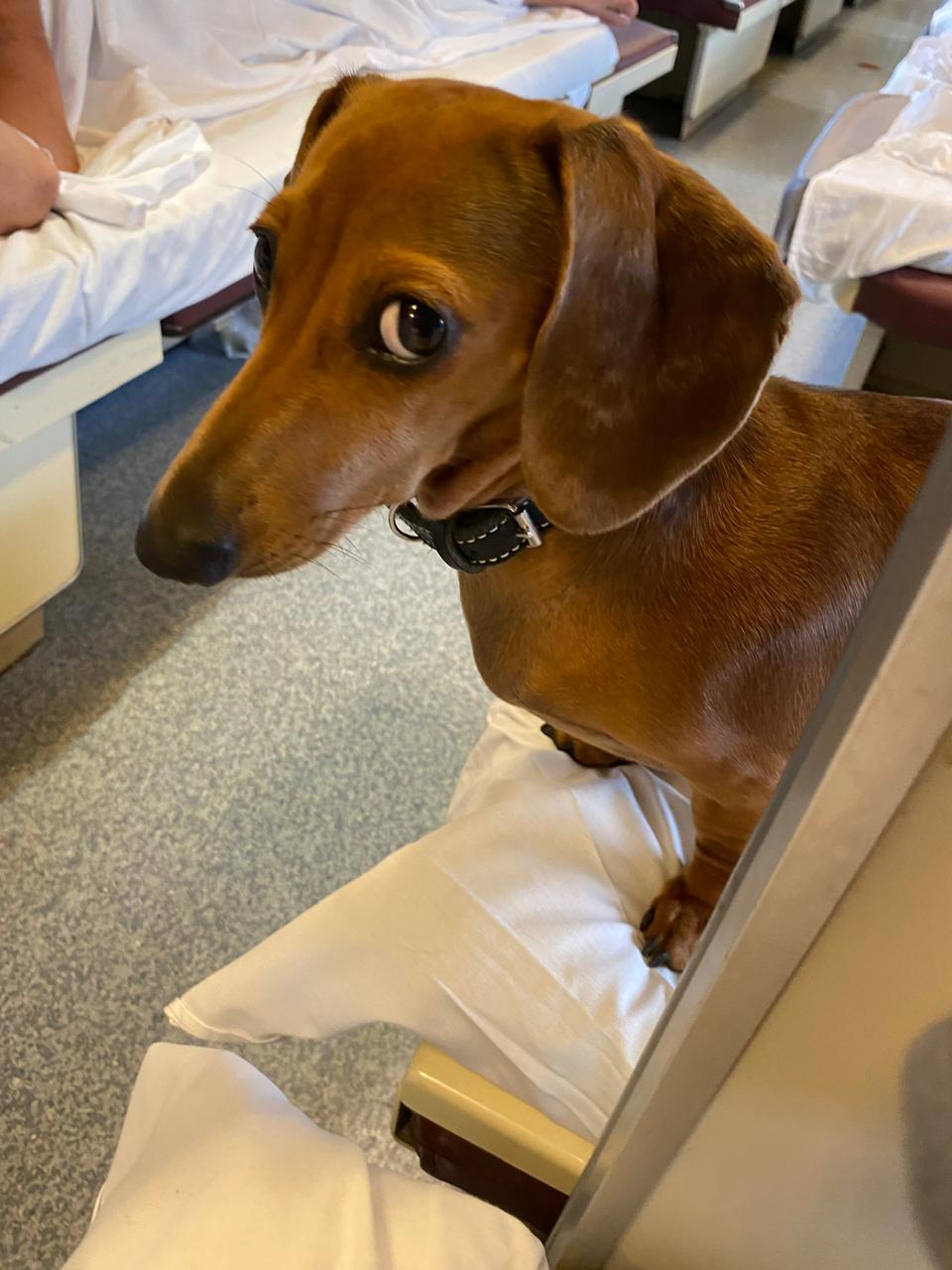 Фото Полуостров