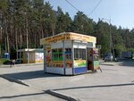 Фрукты и овощи (Altayskaya ulitsa, 64), greengrocery