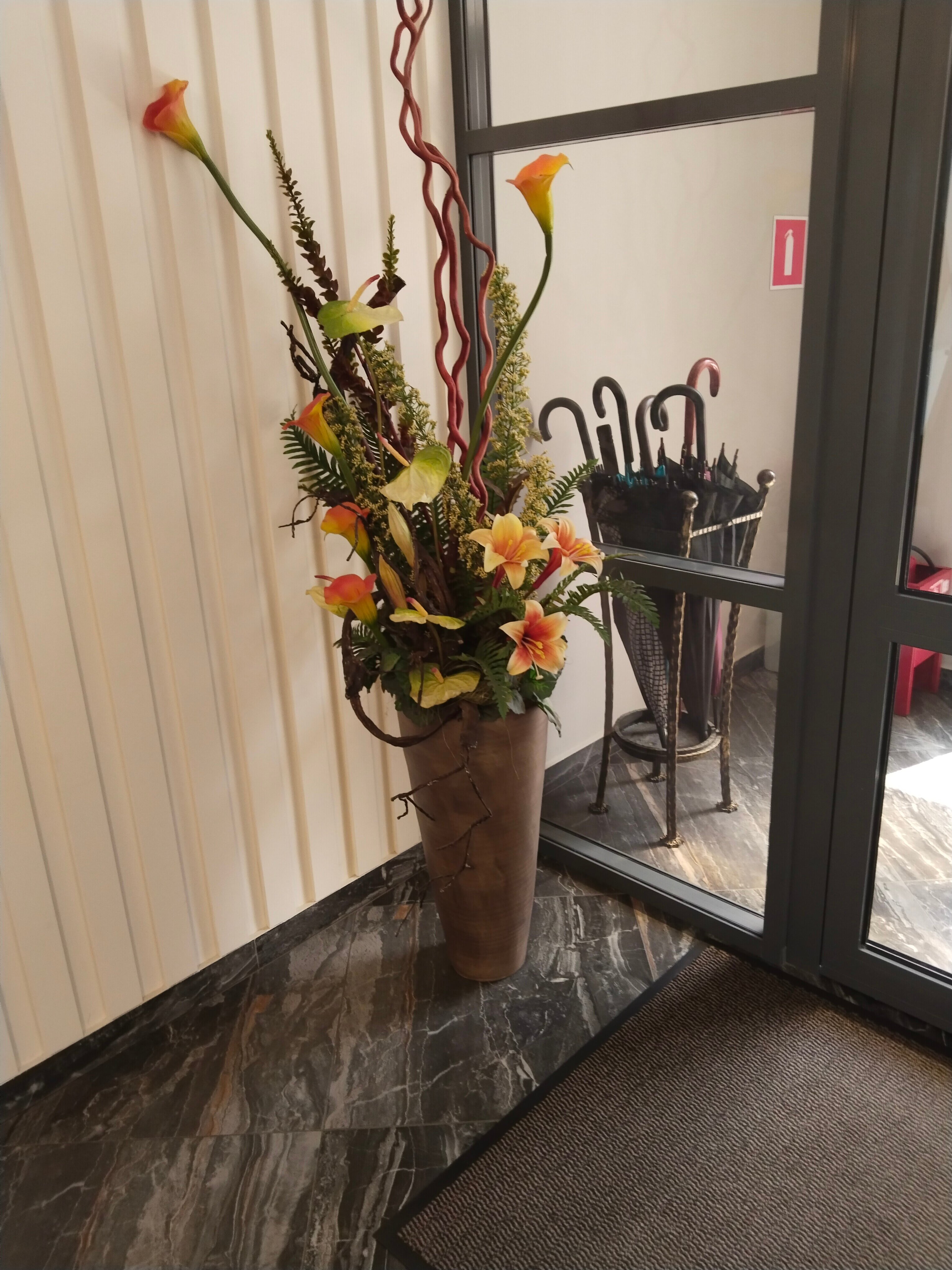 Фото Луидор