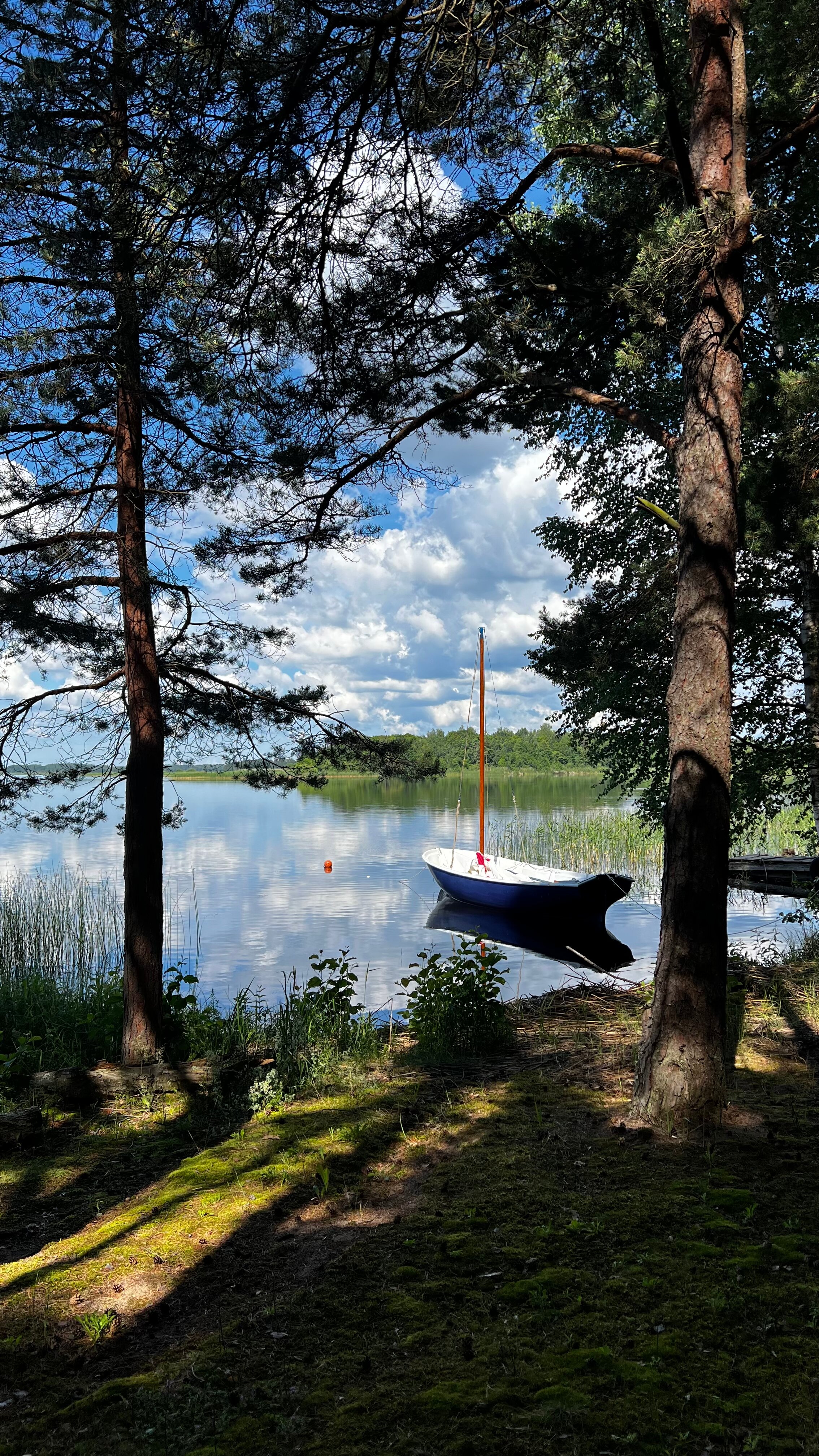 Фото Нептун