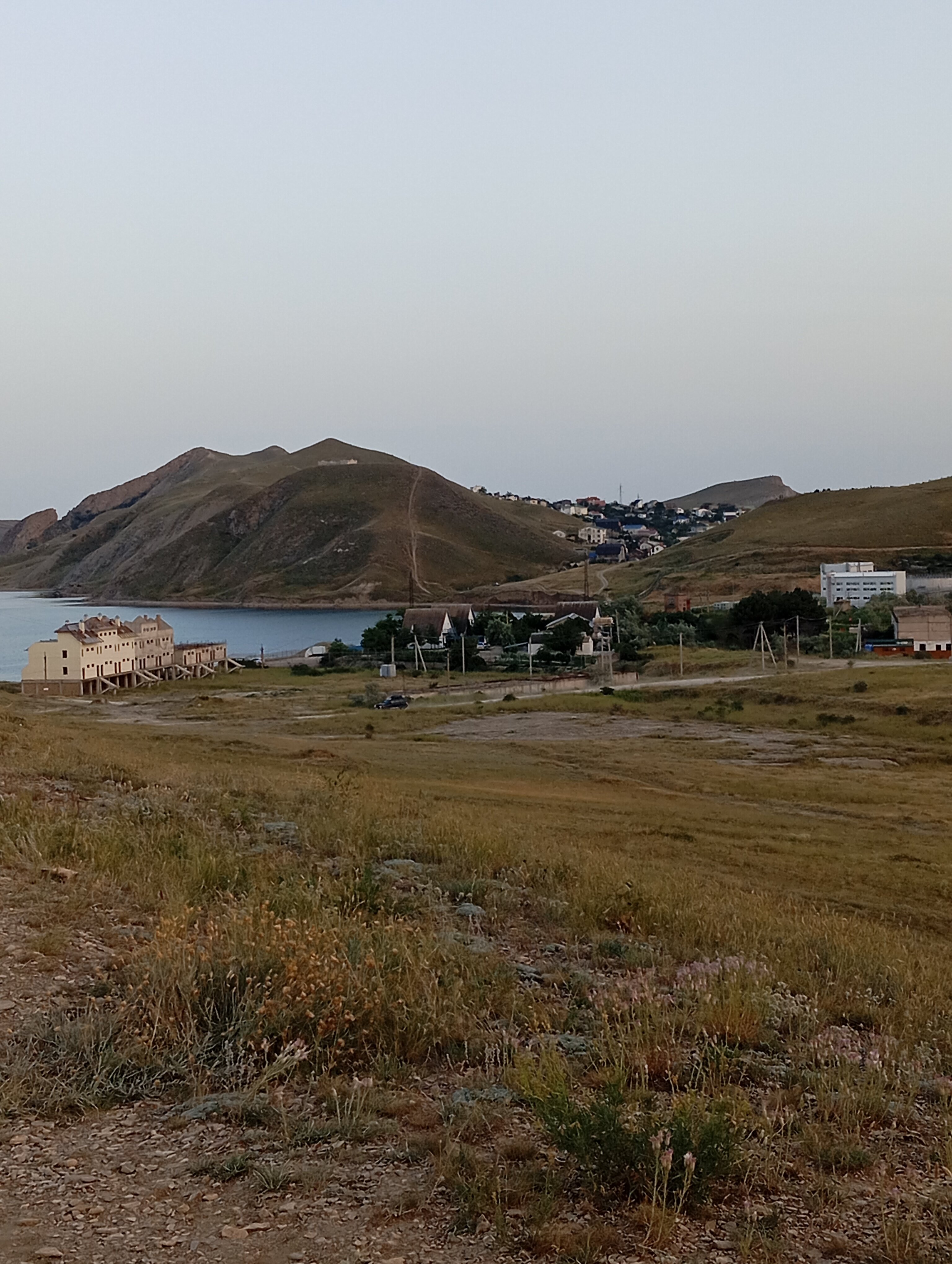 Фото Эллинг у Зои