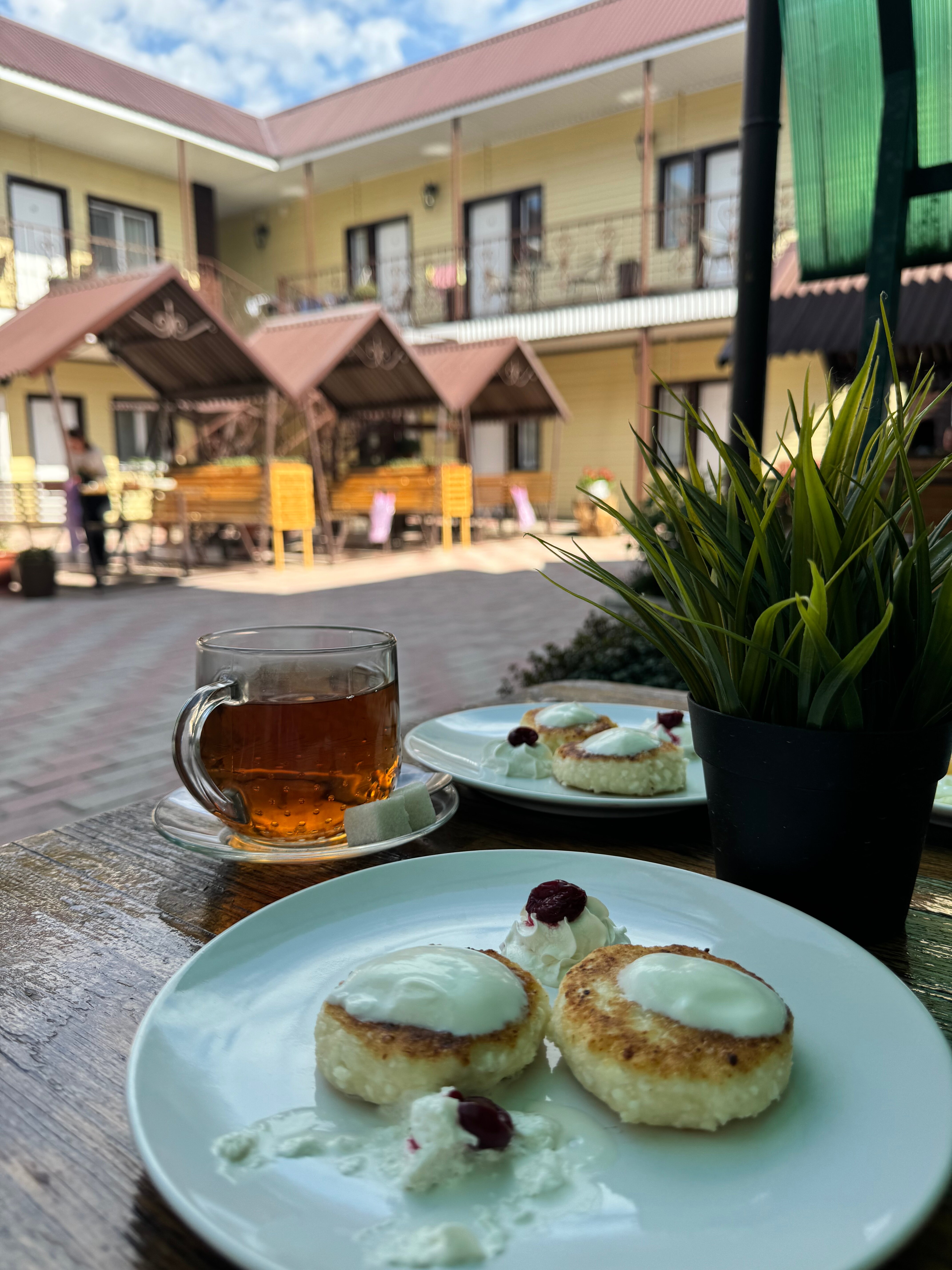 Фото Александрия 56