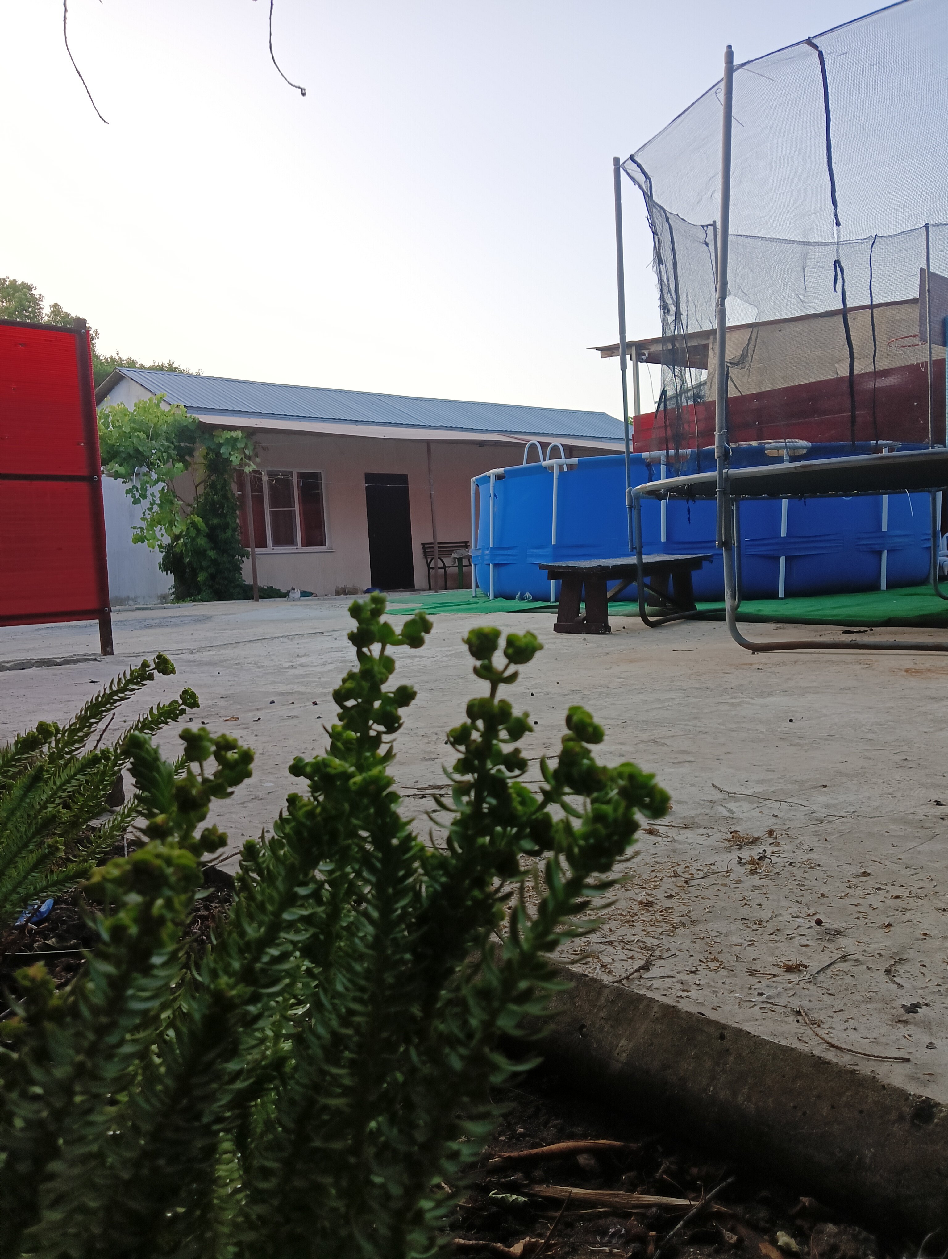 Фото Золотые пески