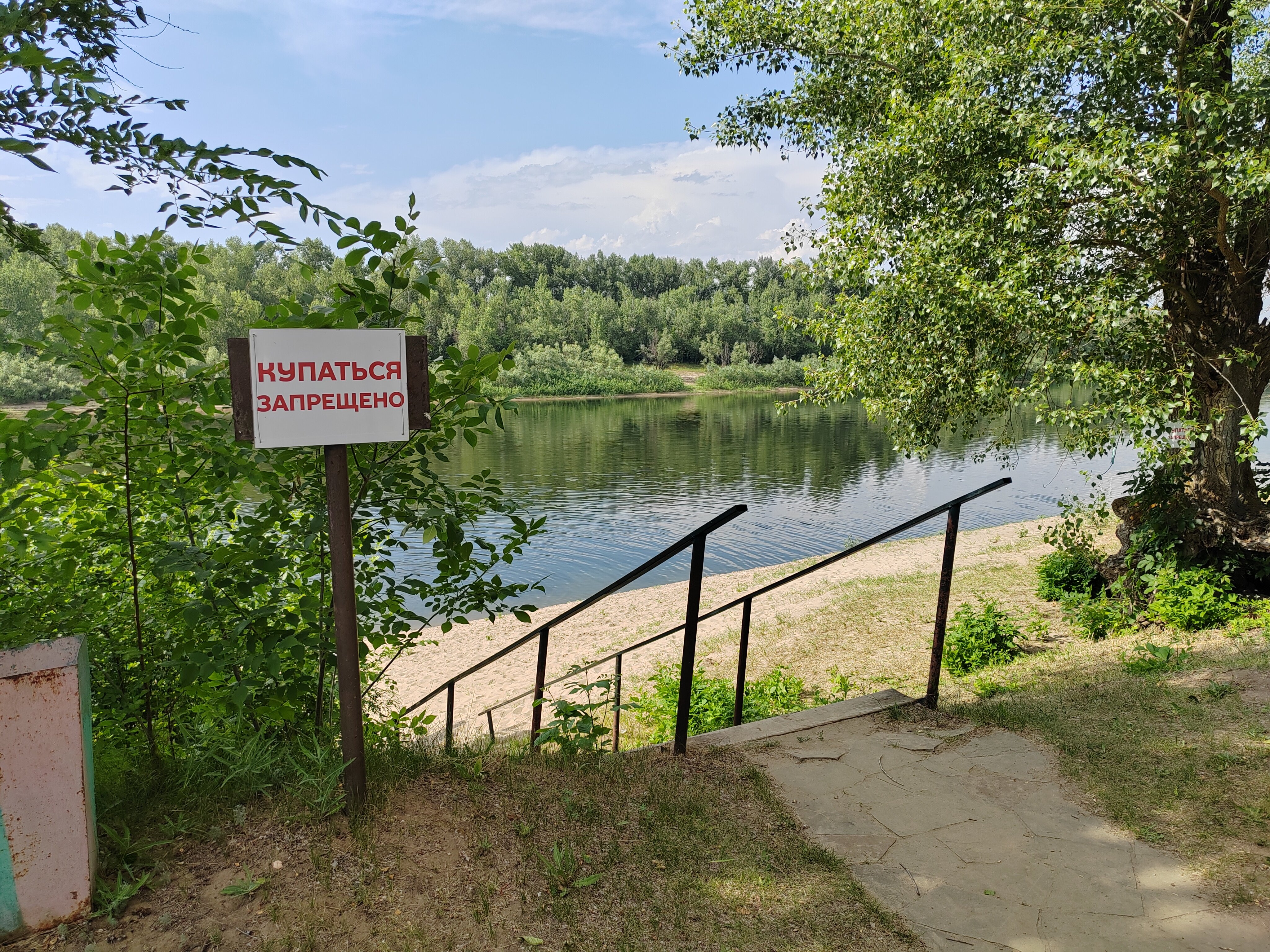 Фото Лесная