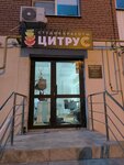 Цитрус (posyolok Mekhzavod, 1-y kvartal, 48), salón de belleza