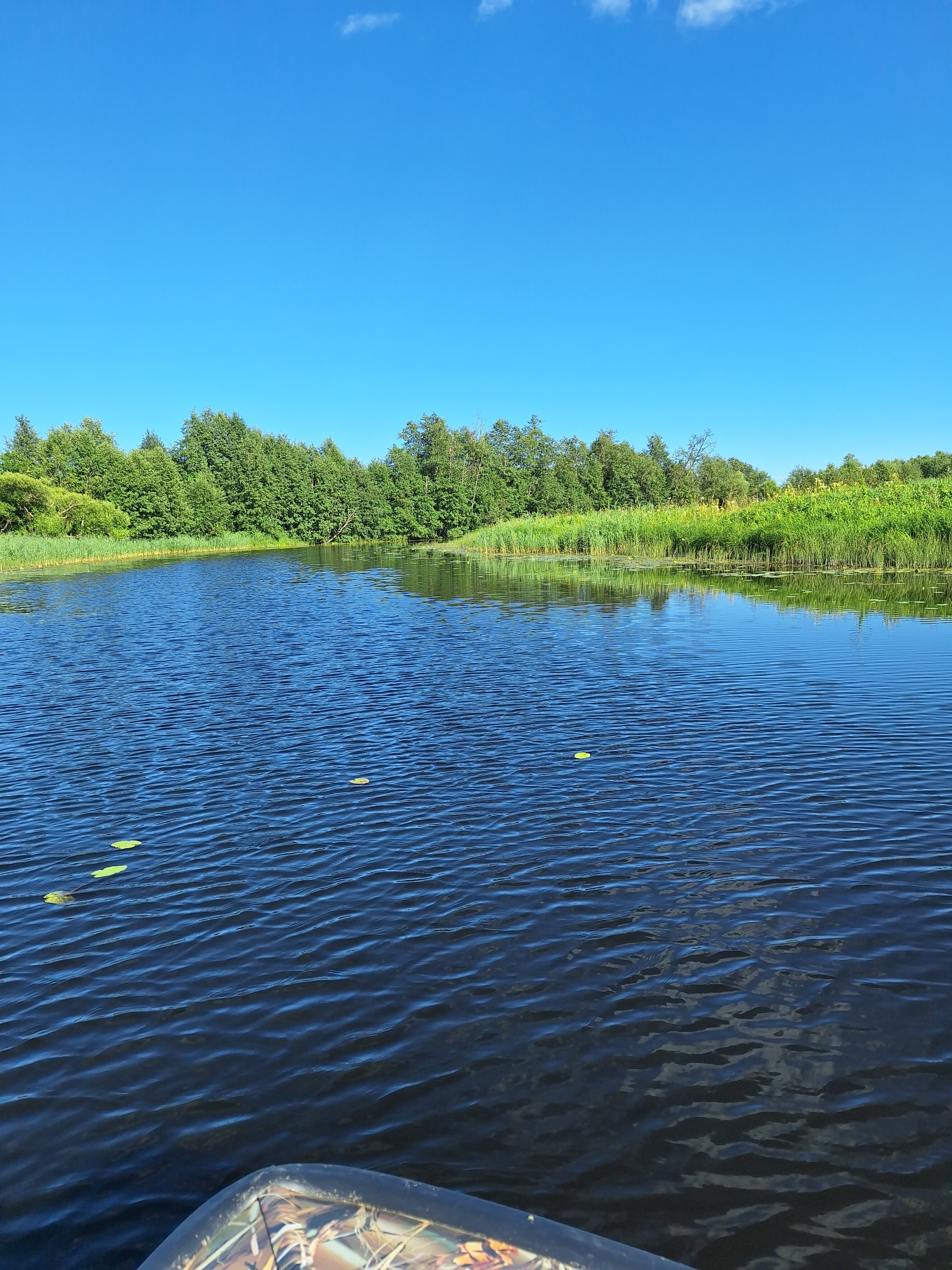 Фото У Аркадьевича