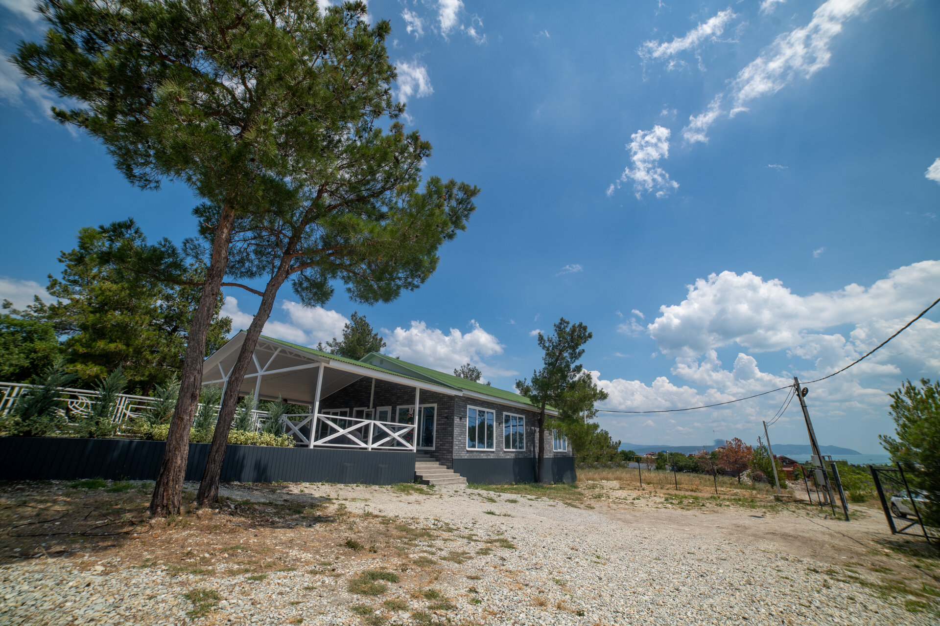 Фото Елки и Иголки