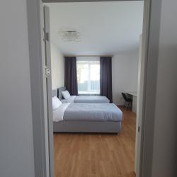 Фото Амигос