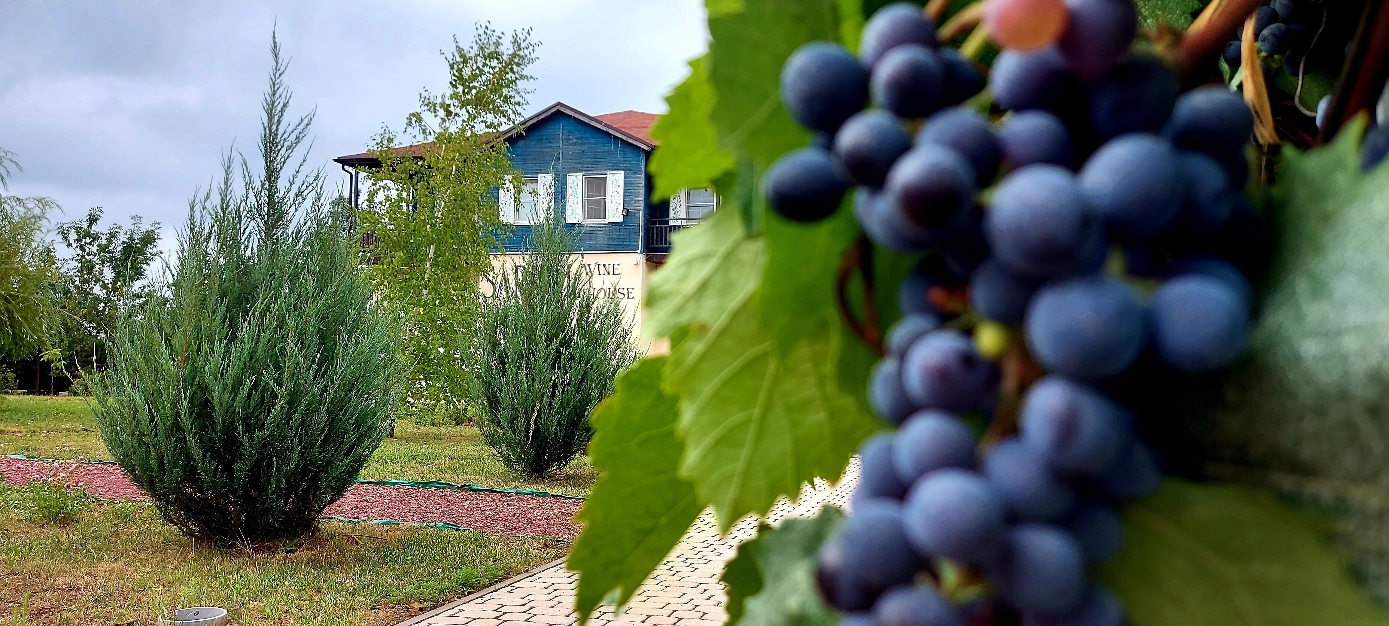 Фото Усадьба Саркел