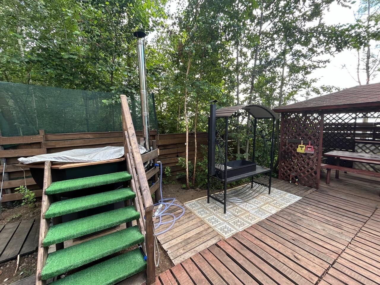 Фото Облепиха