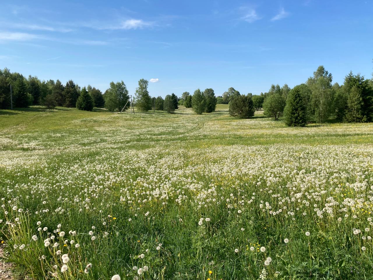 Фото Кузьмадино