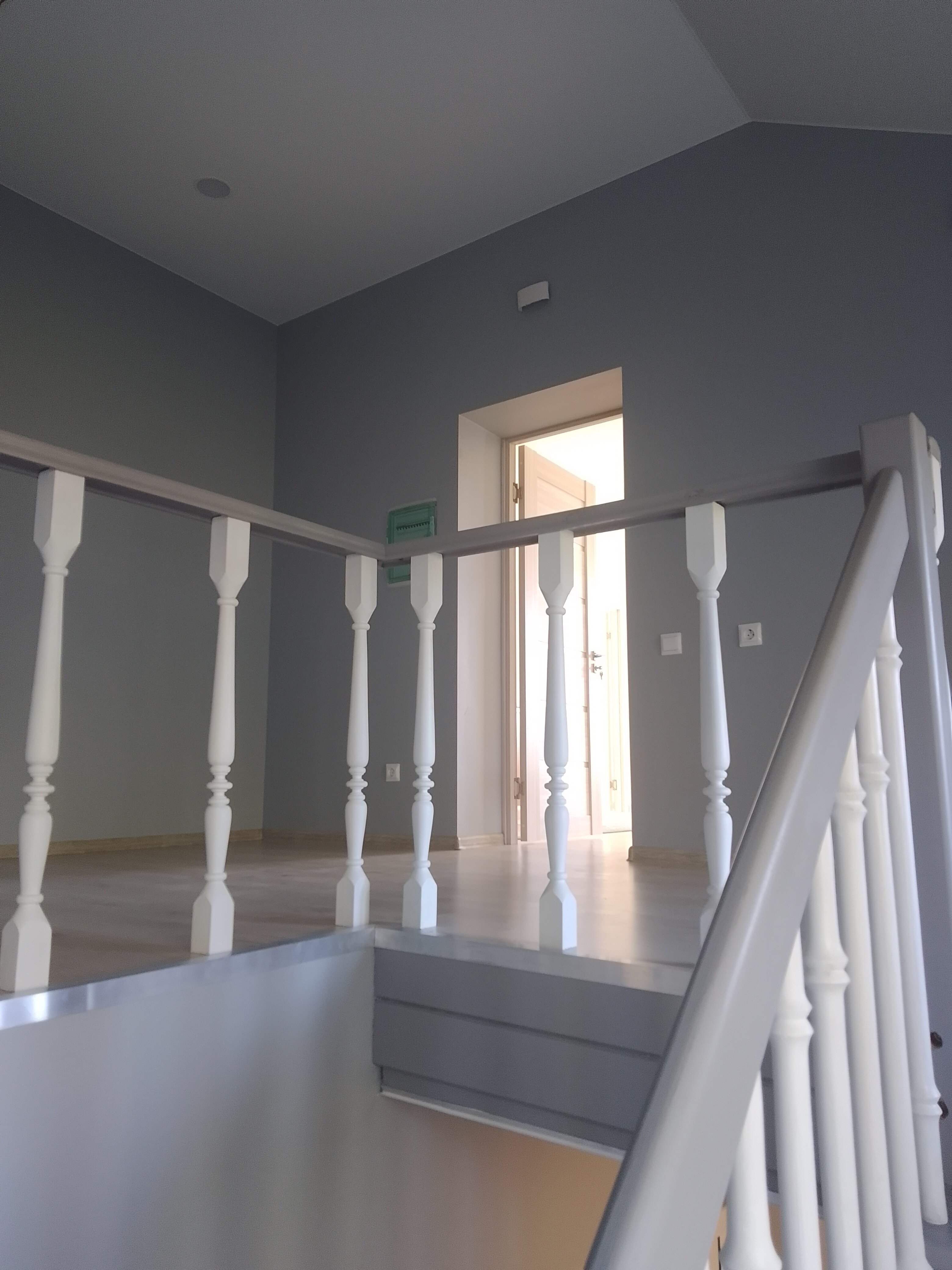 Фото Хитрый Лис