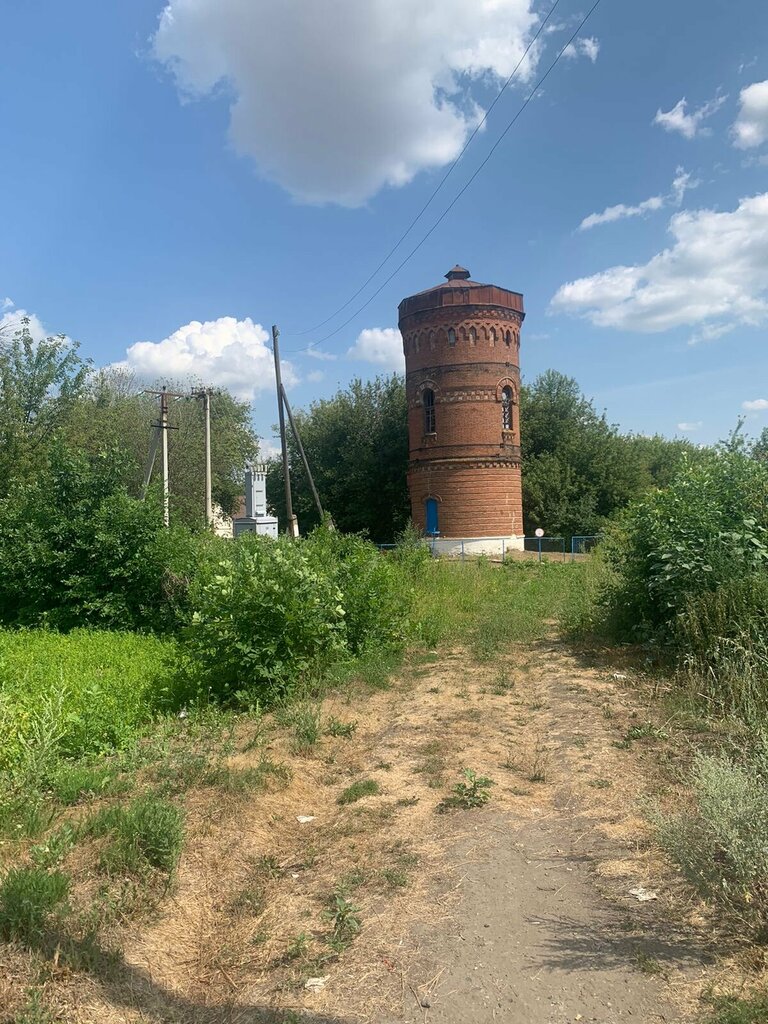 Licensing Ecolight, Voronezh, photo