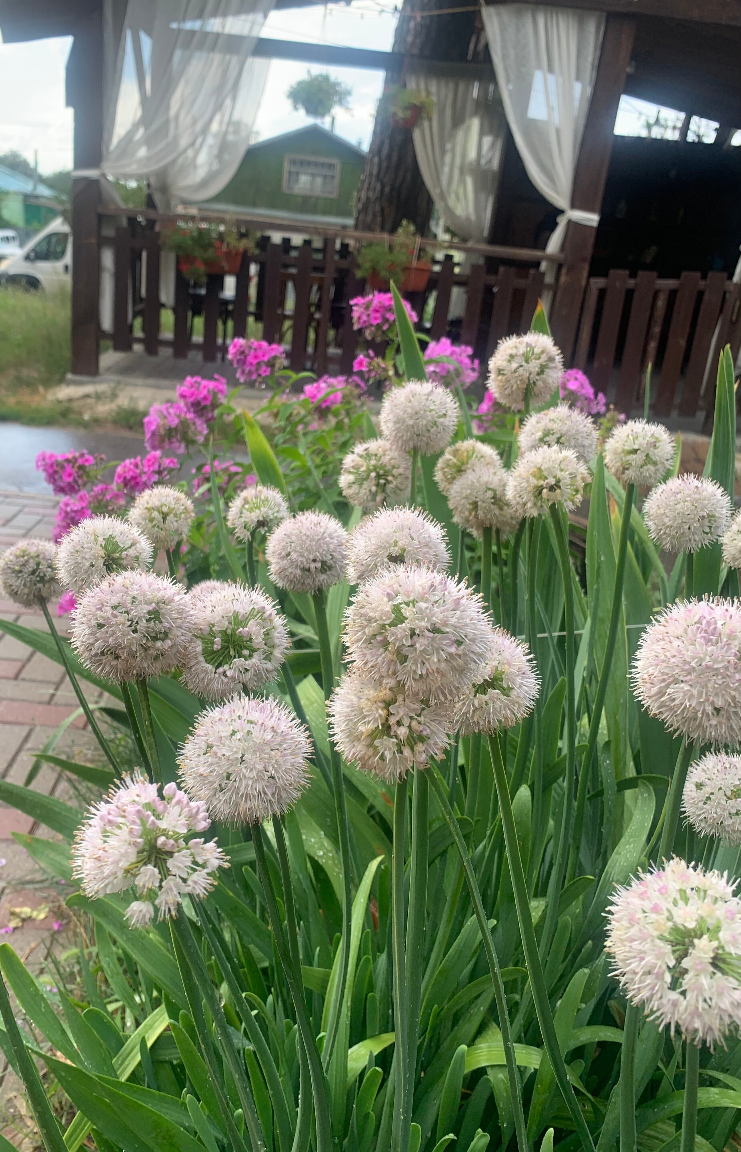 Фото Лесной бункер