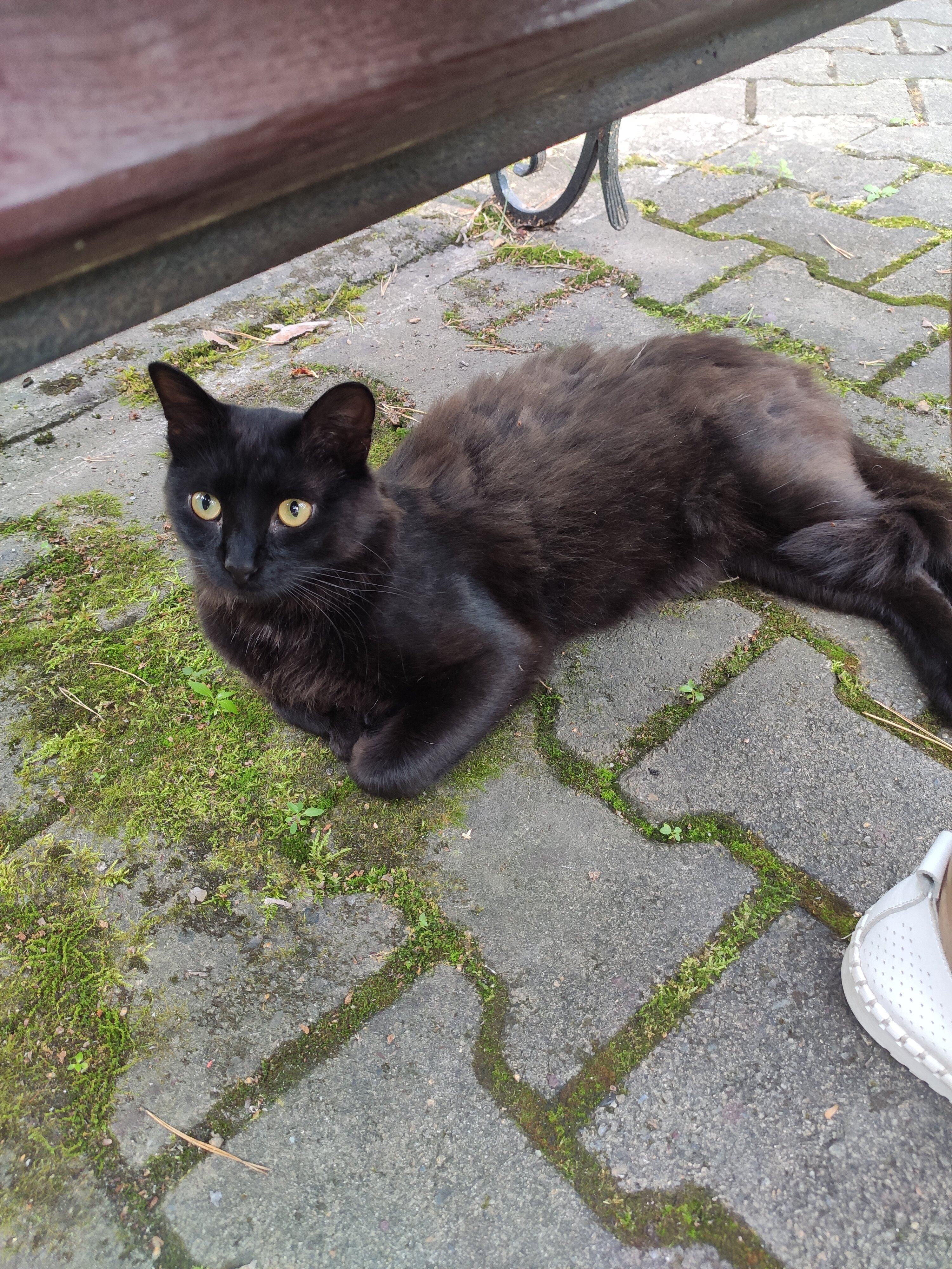 Фото Классика