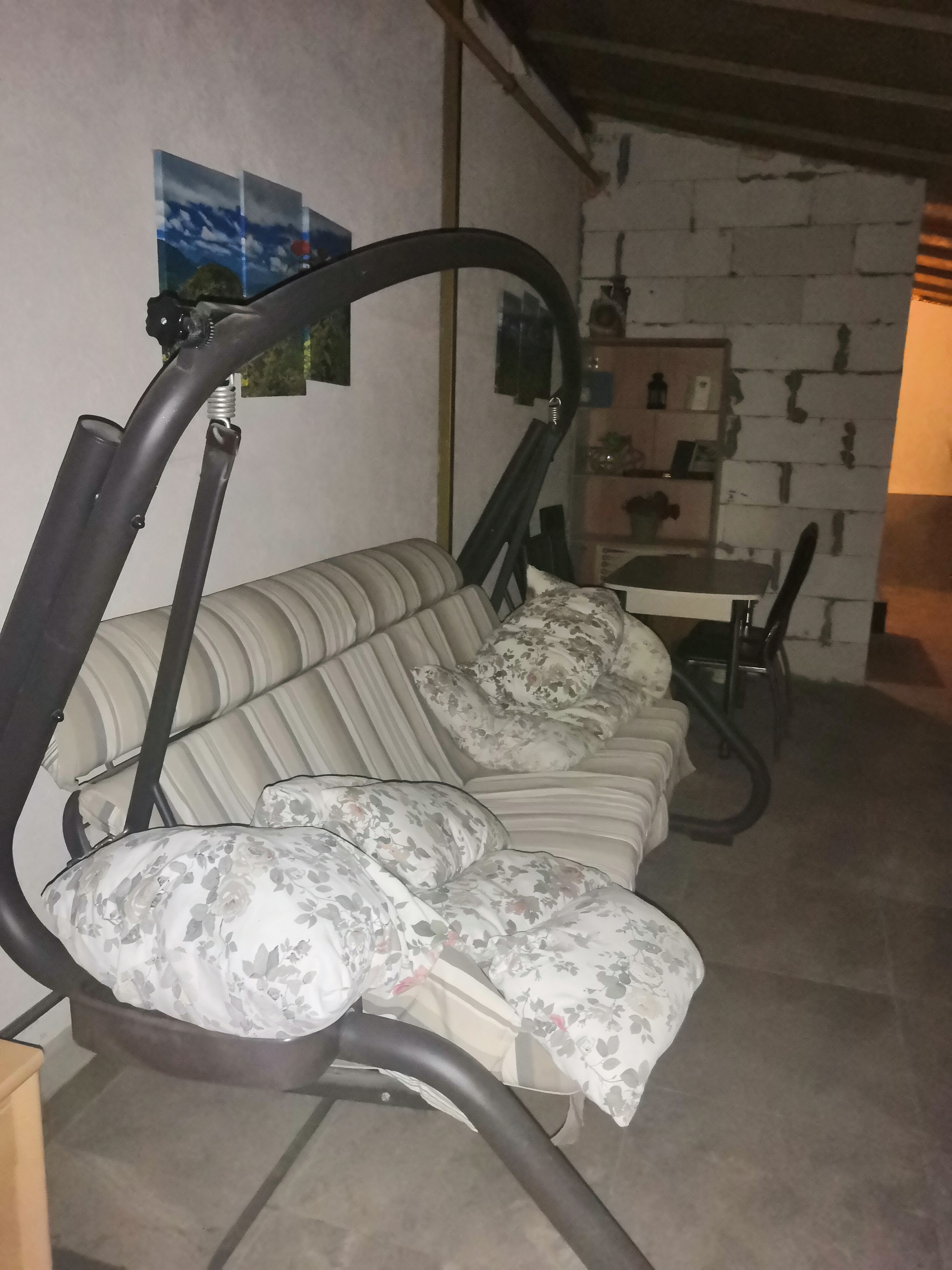 Фото Калина