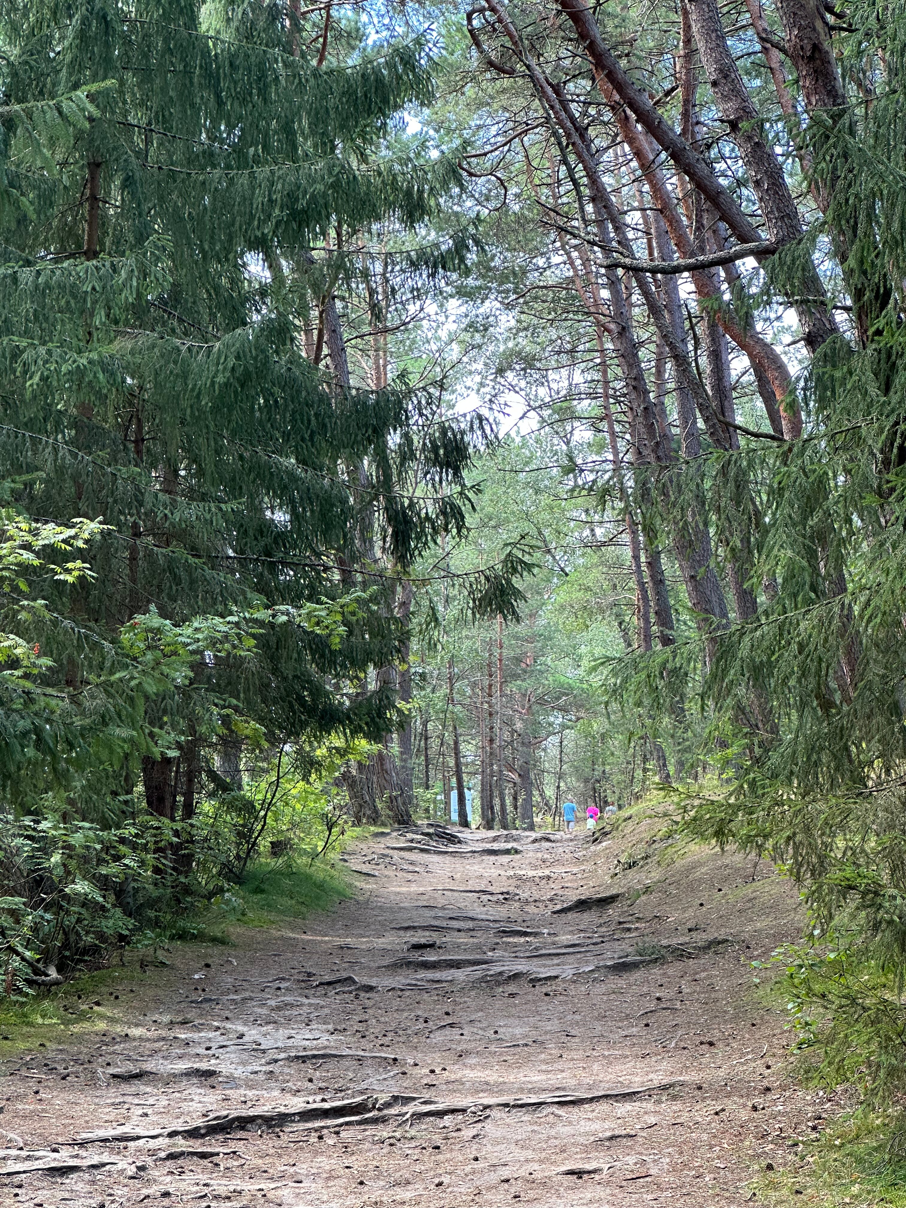 Фото Вилла Вита