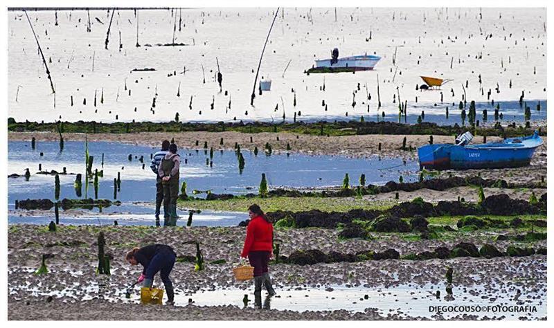 Фото Hotel Carril