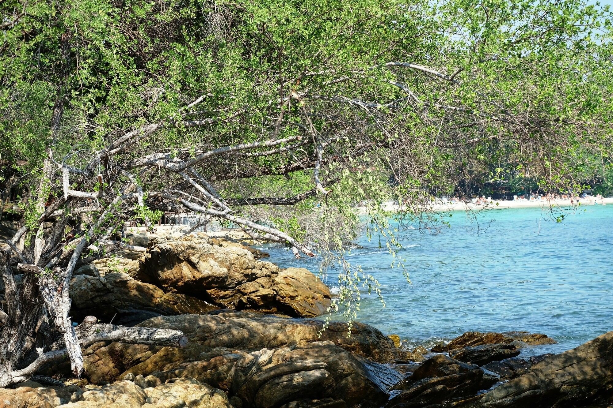 Фото The C Samet Beach Resort