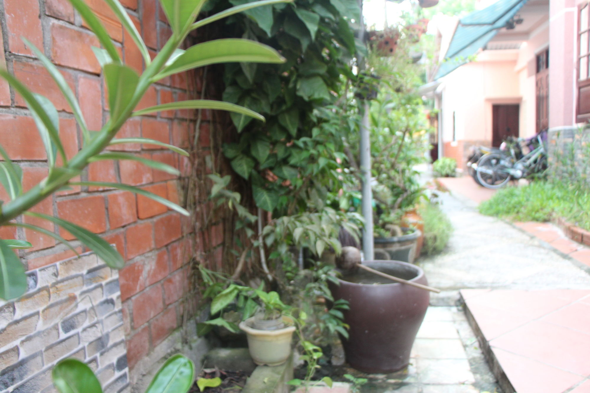 Фото Red Ceramics Homestay