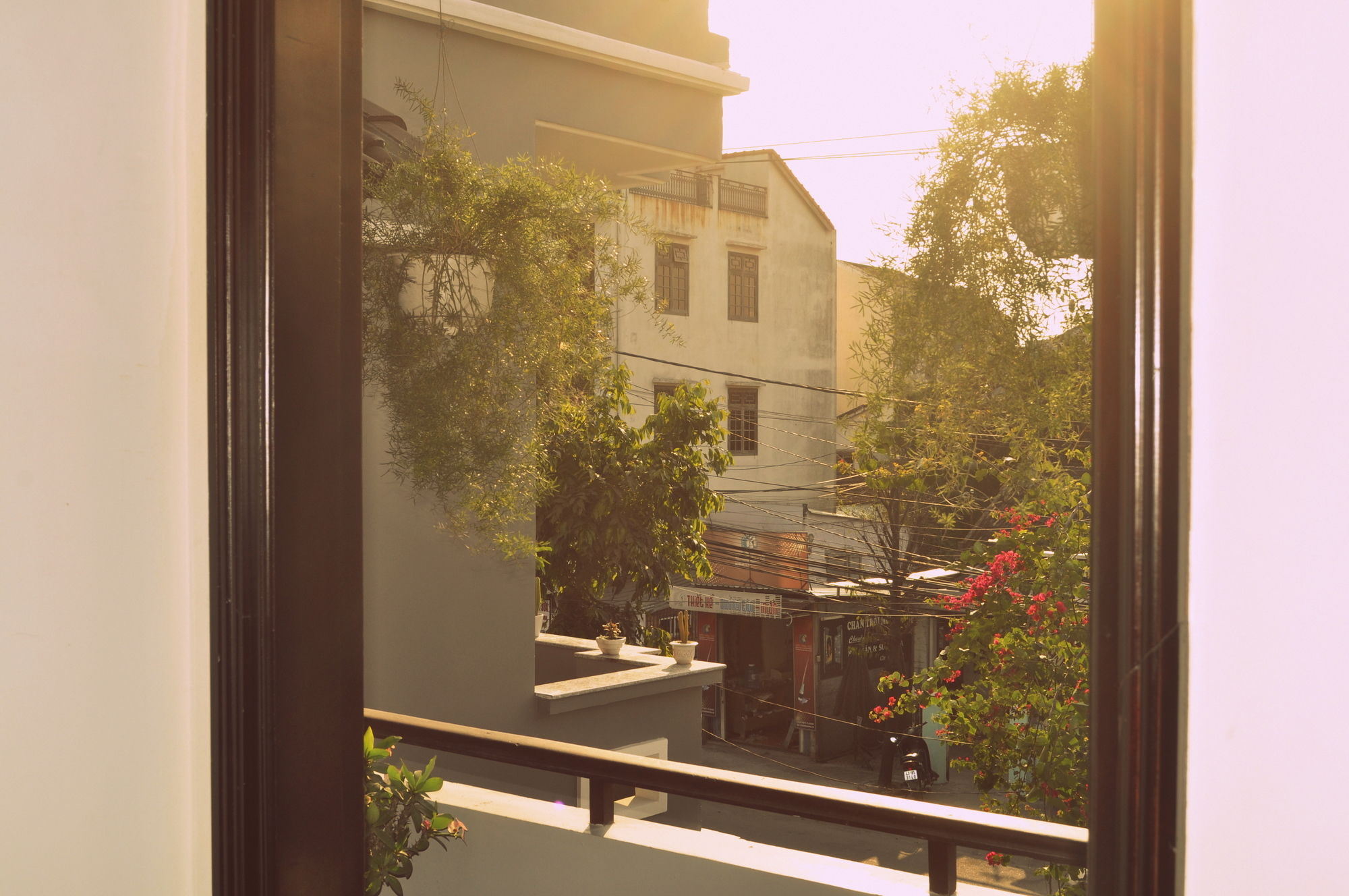 Фото Green Coco Homestay Hoi An