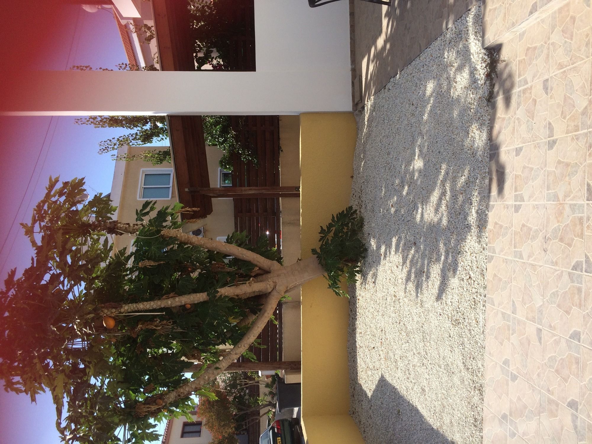 Фото Nikoleta's House