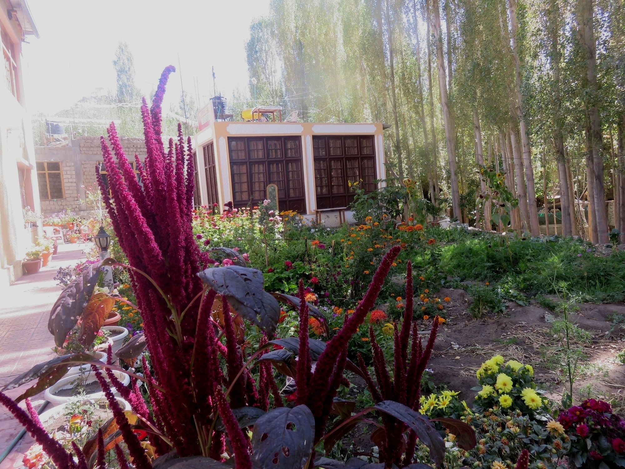 Фото Tih Hotel Maryul