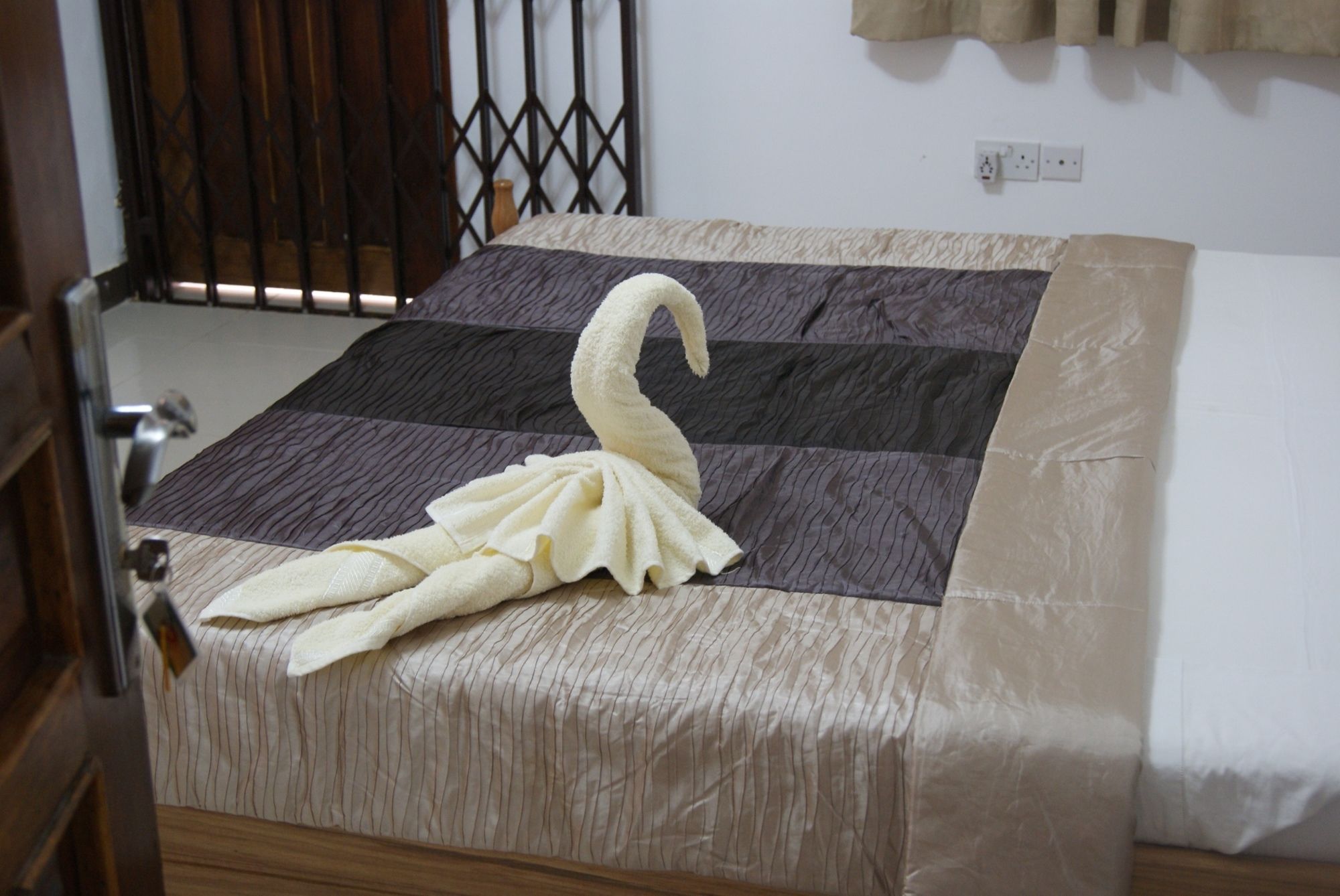 Фото The Golden Apple