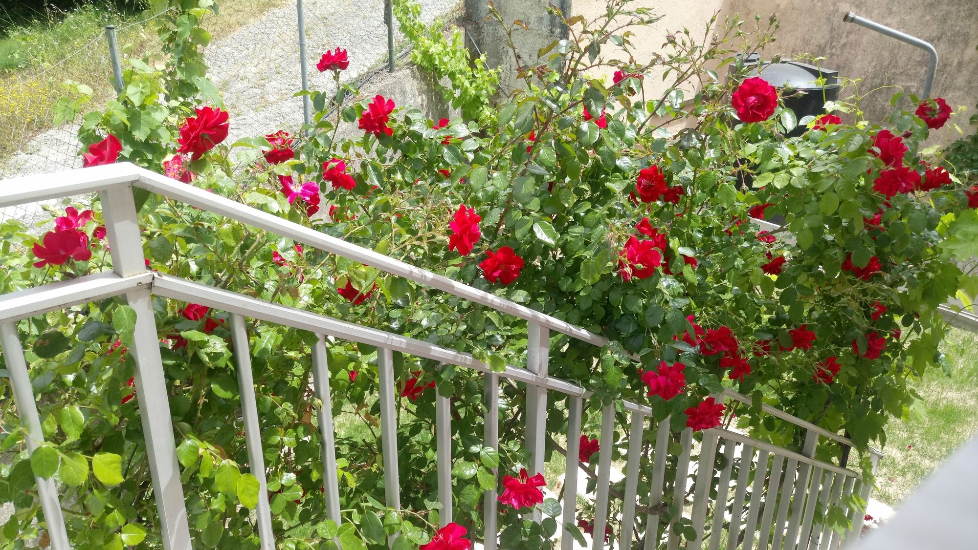 Фото Corfu Villa Rainbow