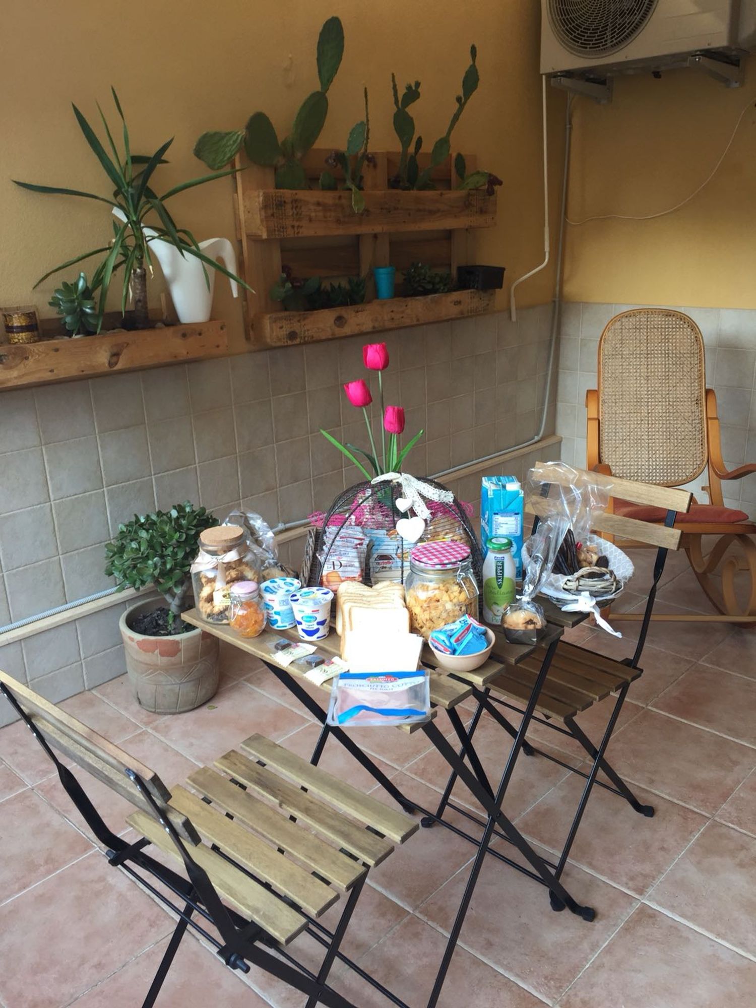 Фото Pura Vida Barocca