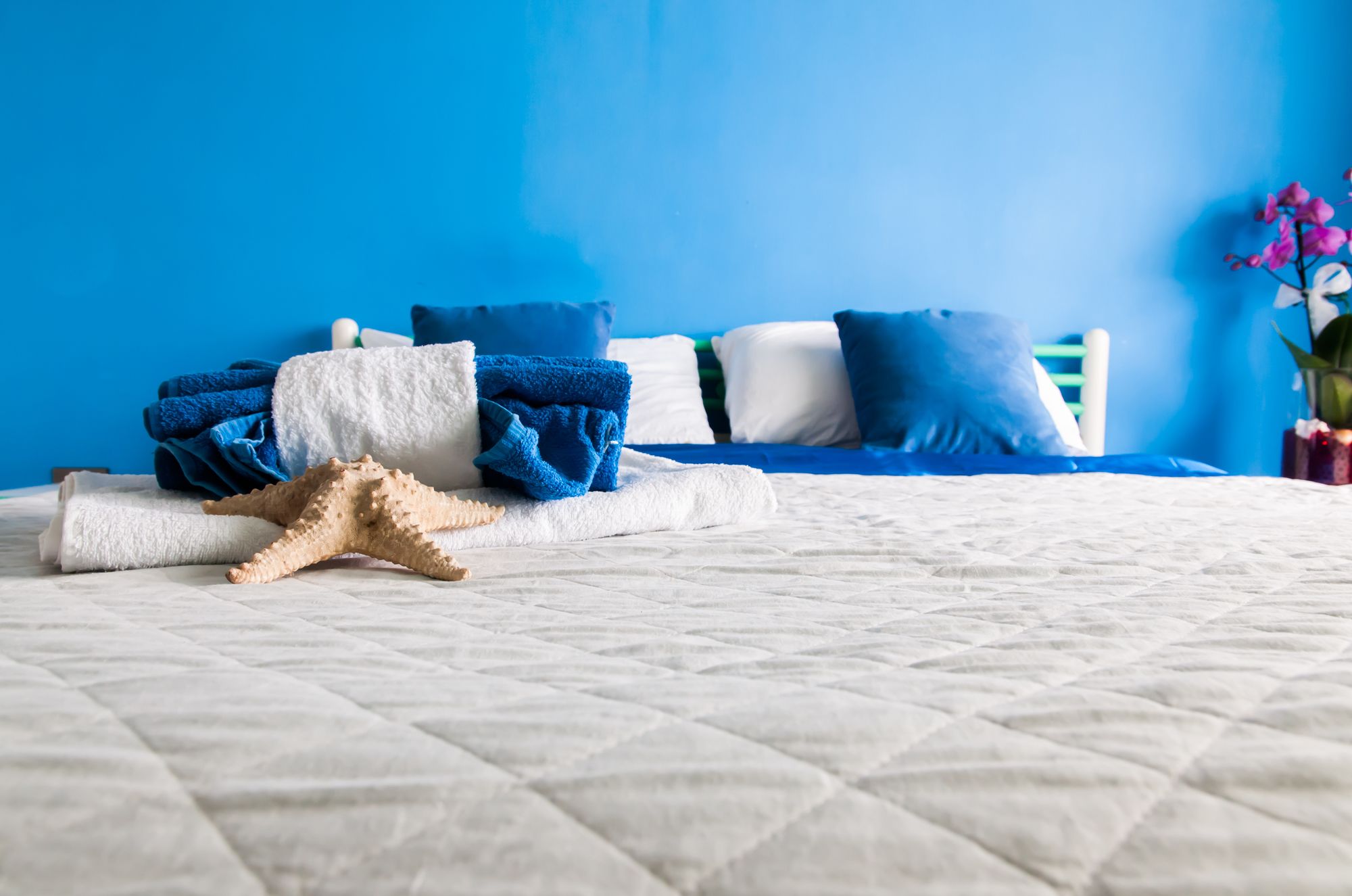 Фото Residence Belvedere Vista