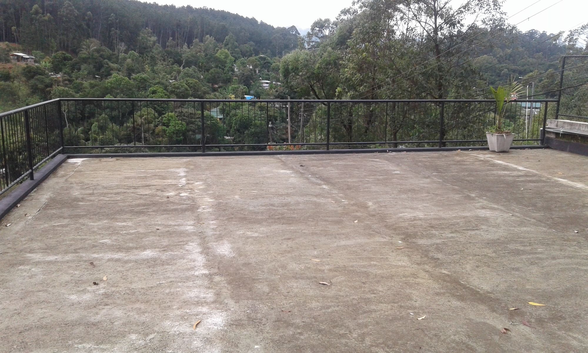 Фото Hotel Alta Vista