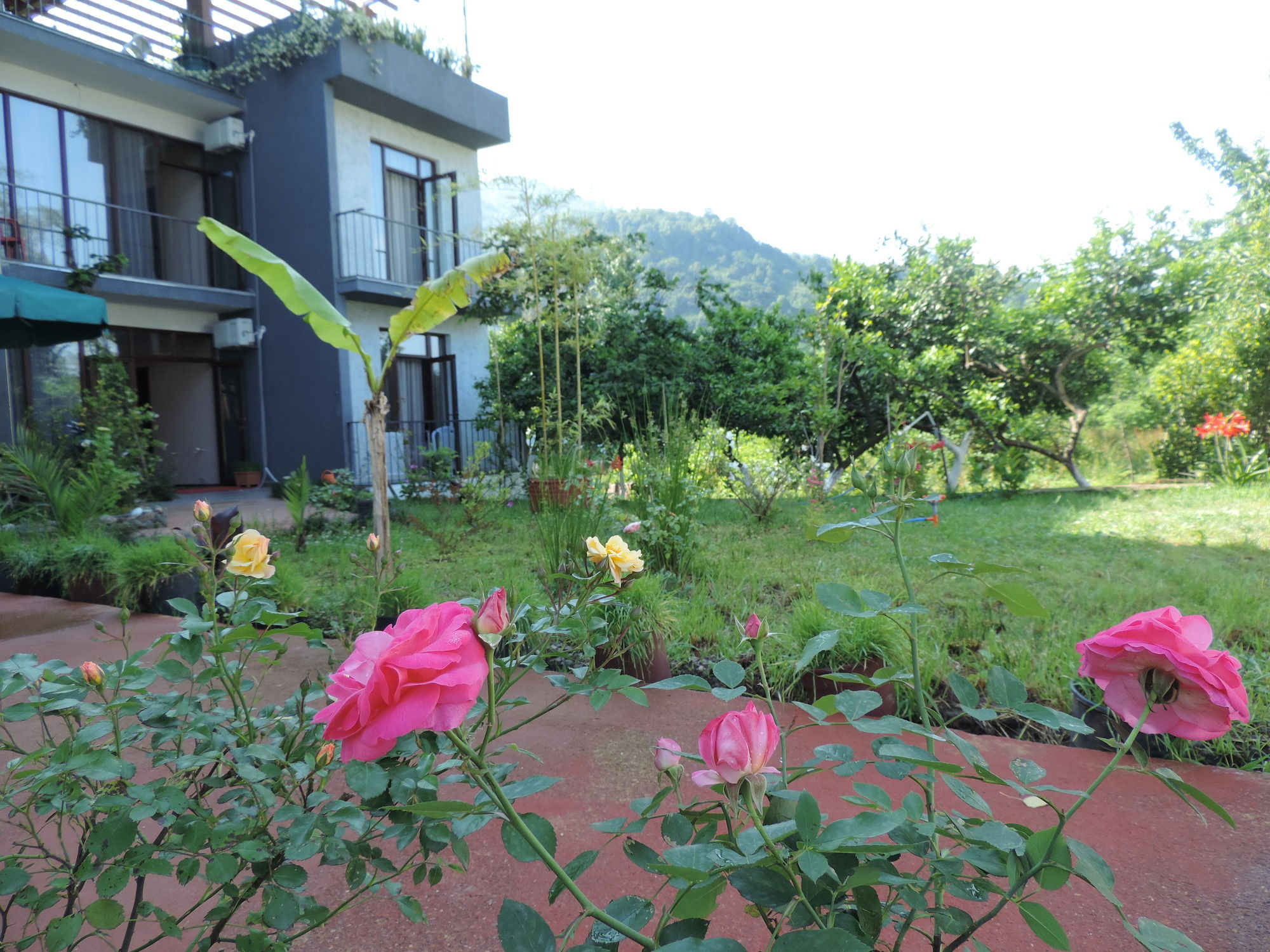 Фото Villa Del Mar