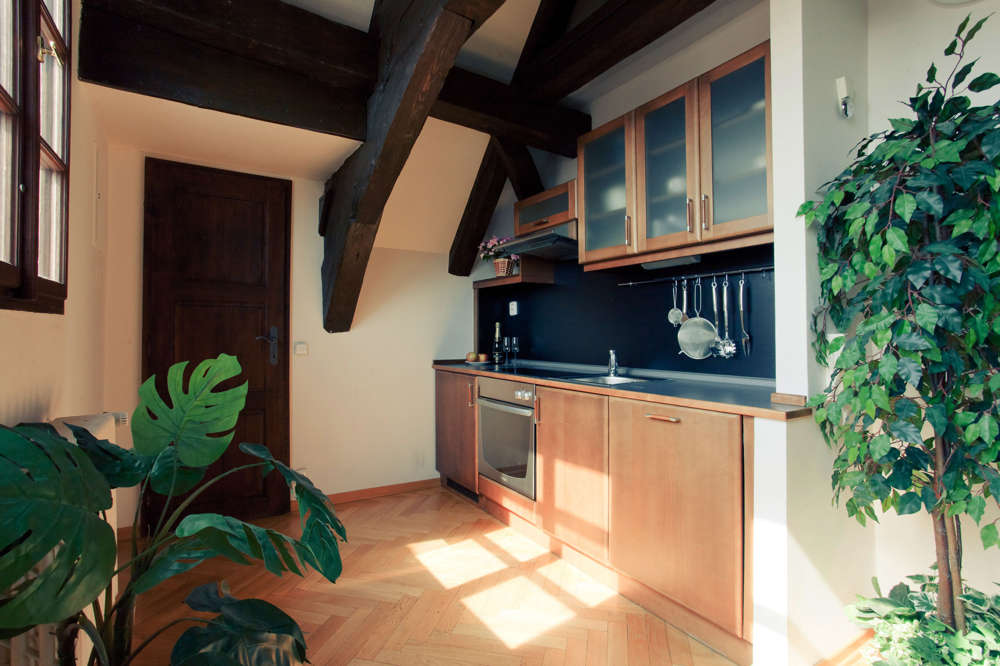 Фото Residence Thunovska 19