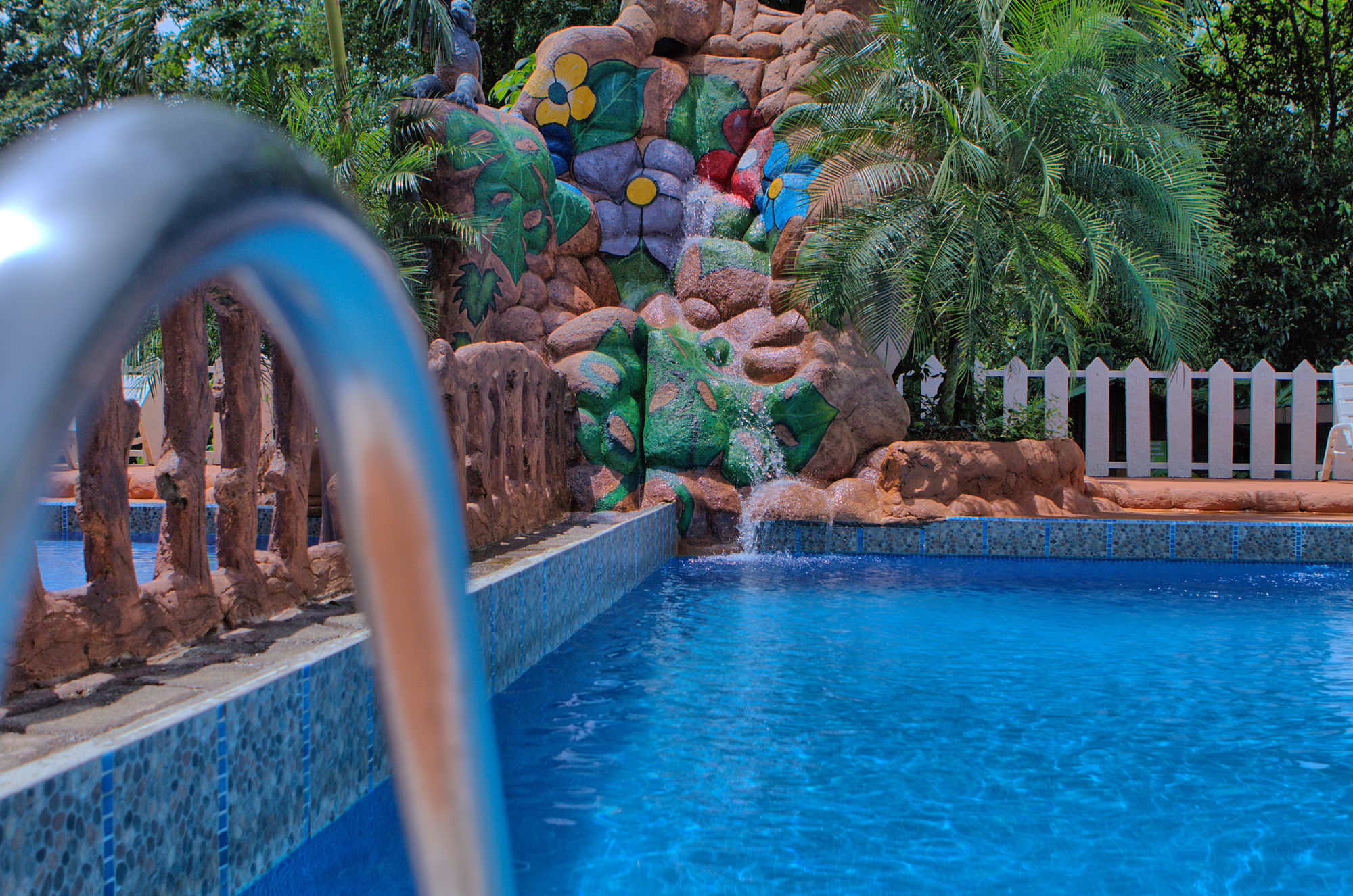 Фото Ara Ambigua Lodge