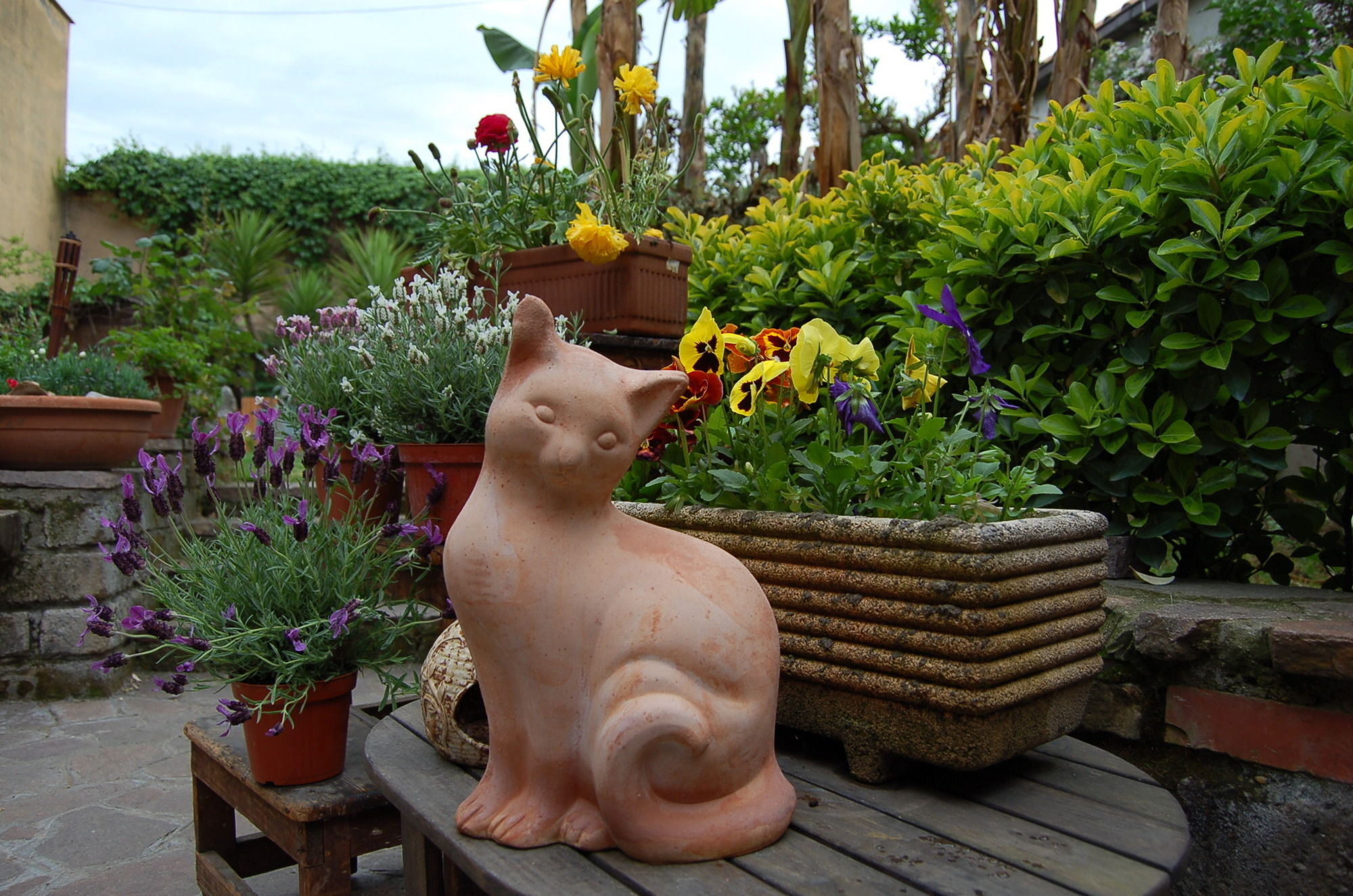 Фото Abbraccia Morfeo