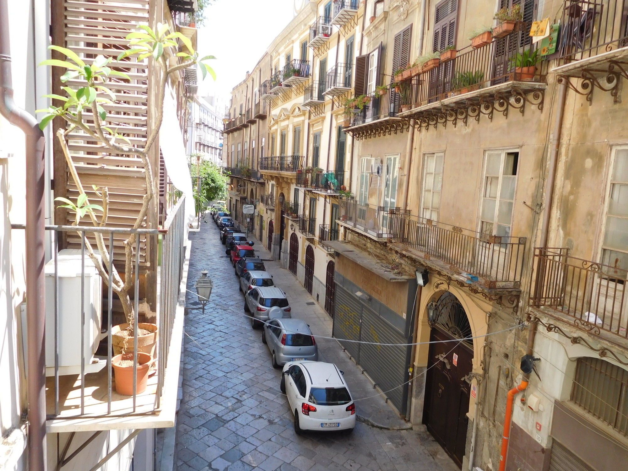 Фото Exclusive Dependance