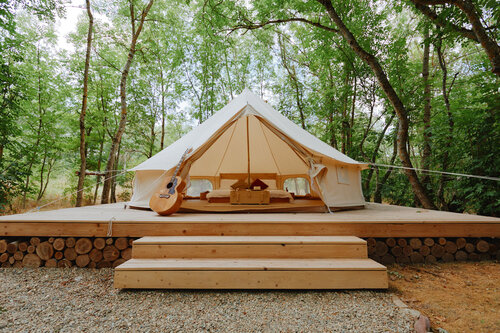 Hol mushuk porno video