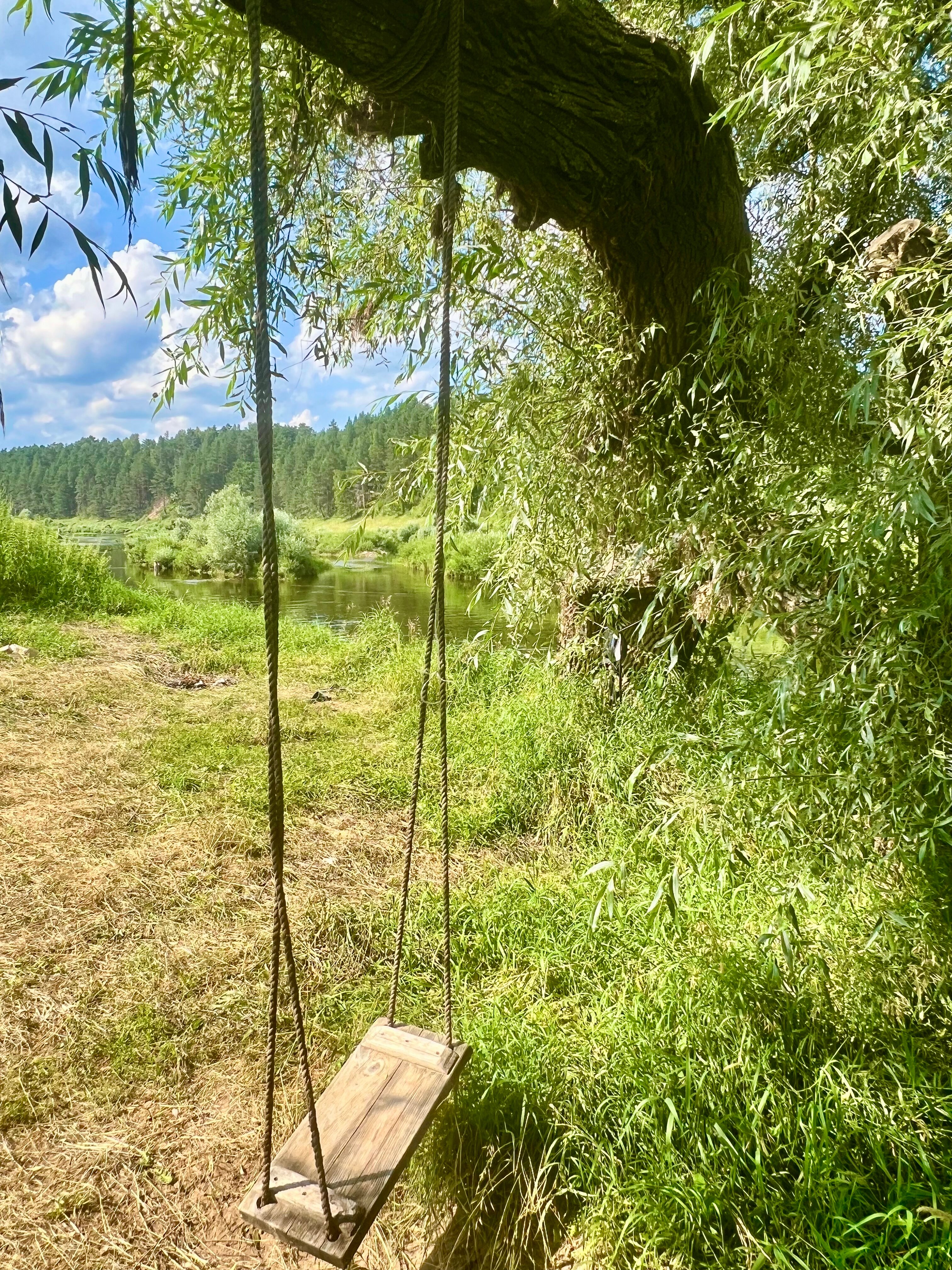 Фото Благоречье