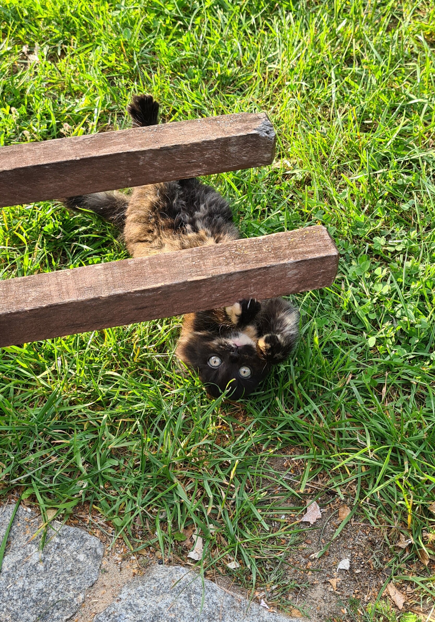 Фото Хутор старого пасечника