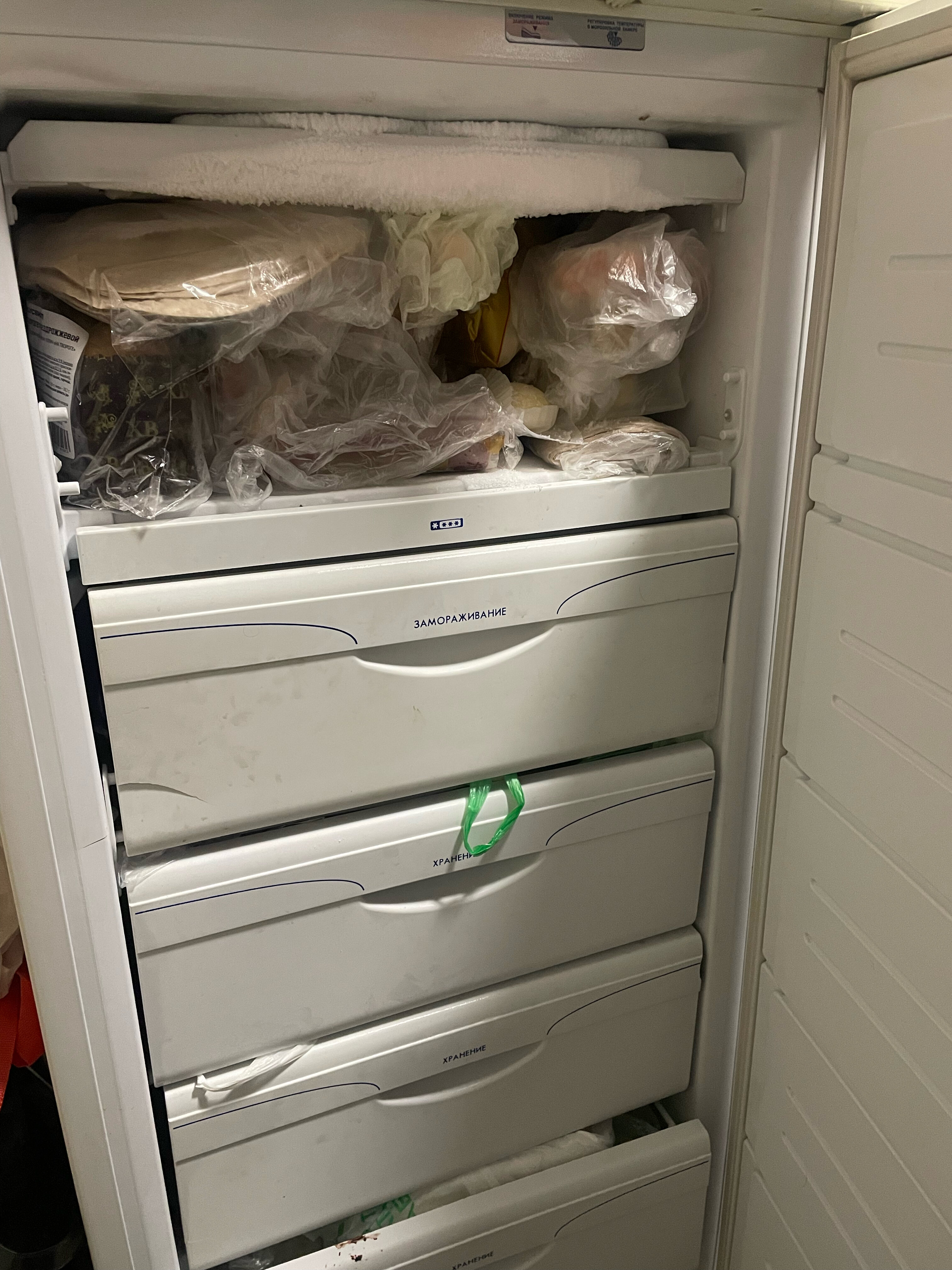 Фото Рыжий пёс