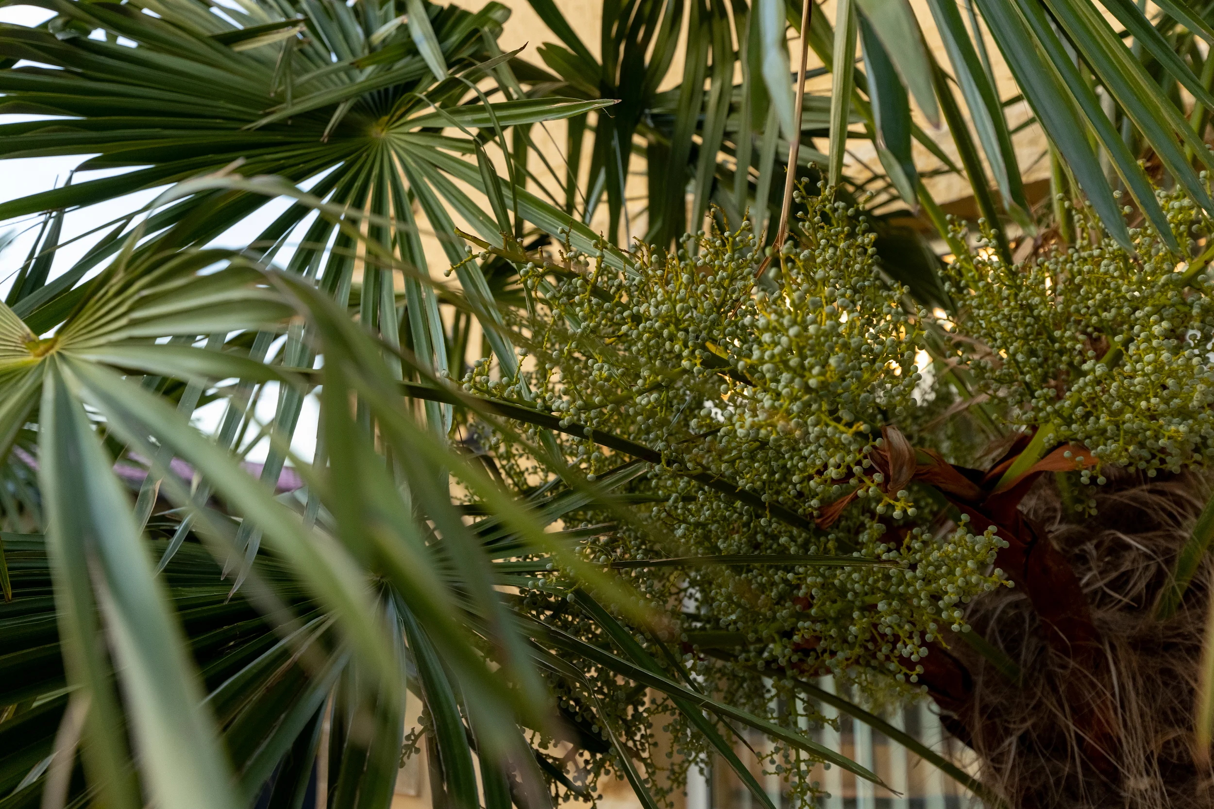 Фото Усадьба