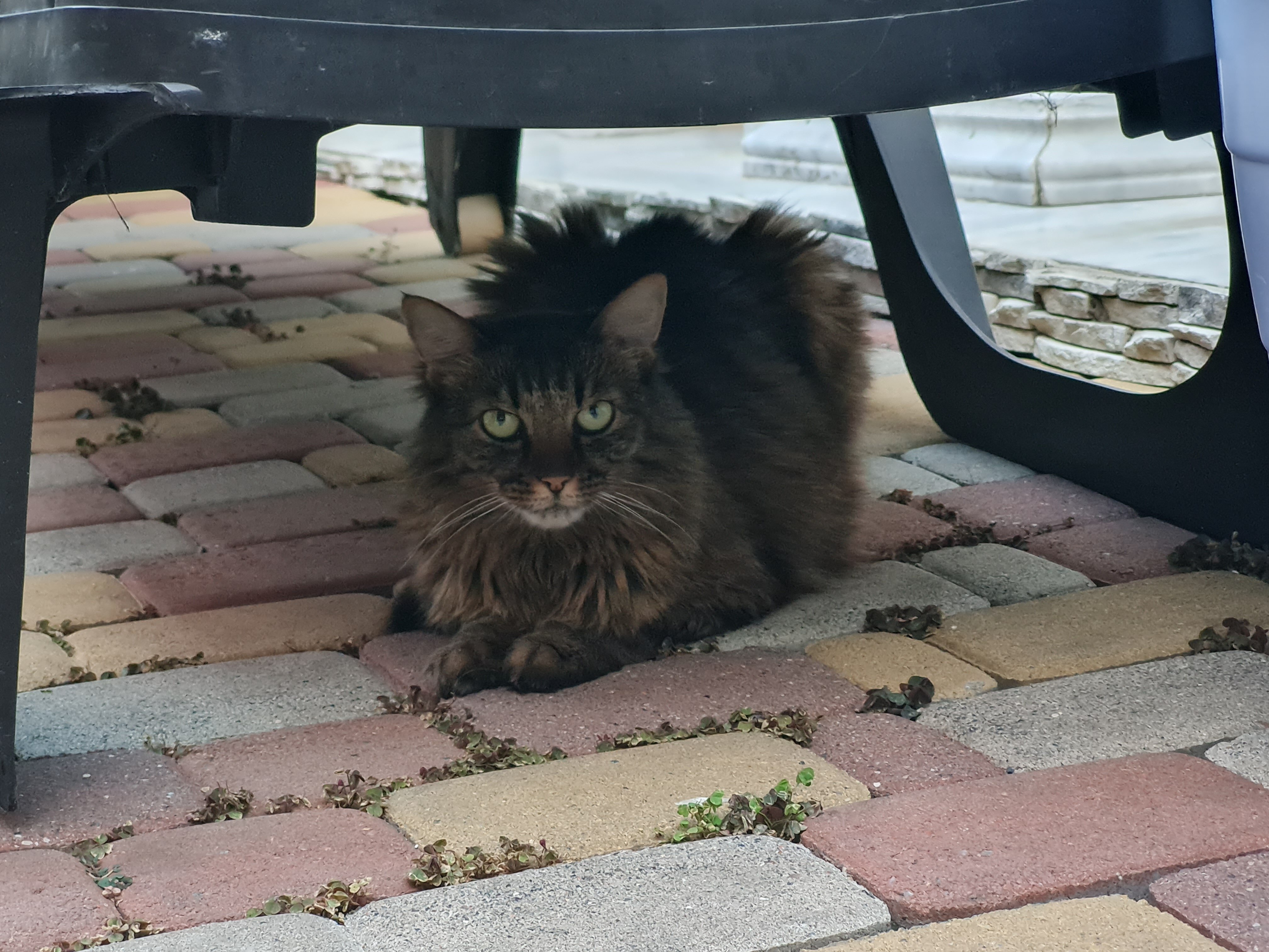 Фото Отель Аква