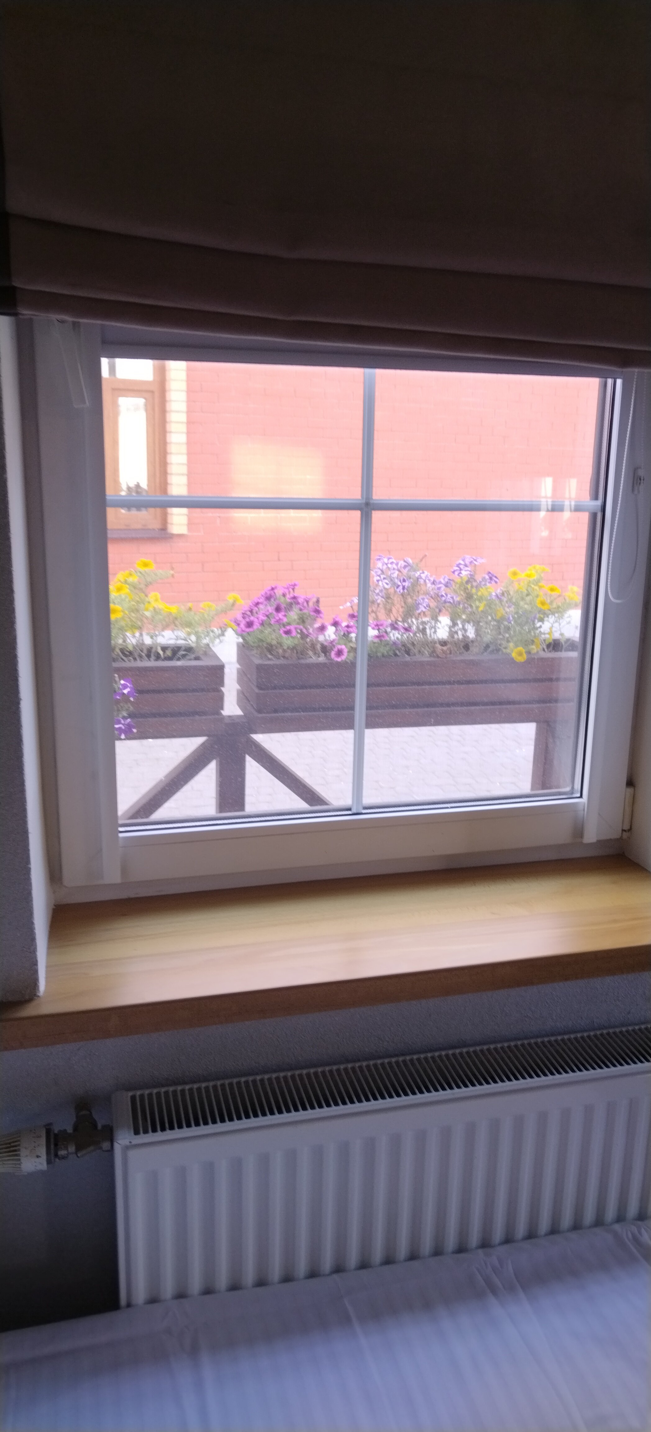 Фото У Кремля