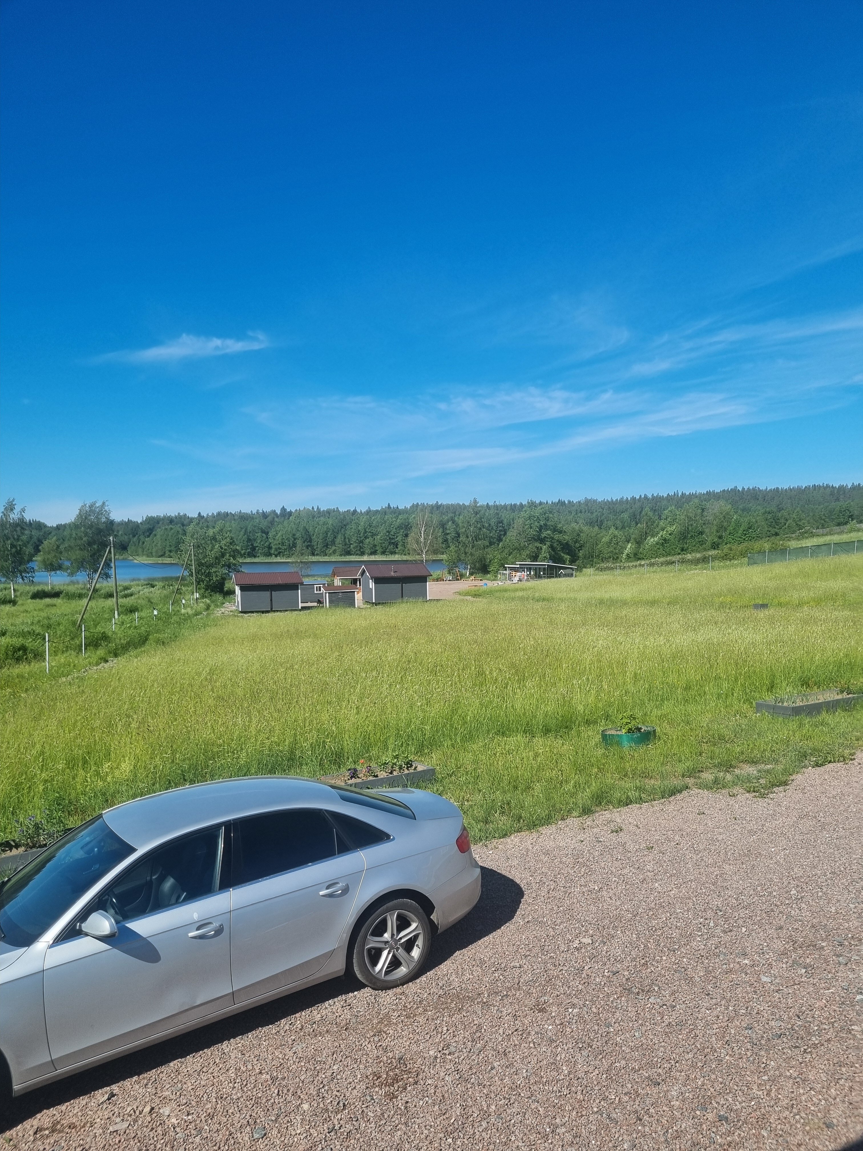 Фото Утиная история