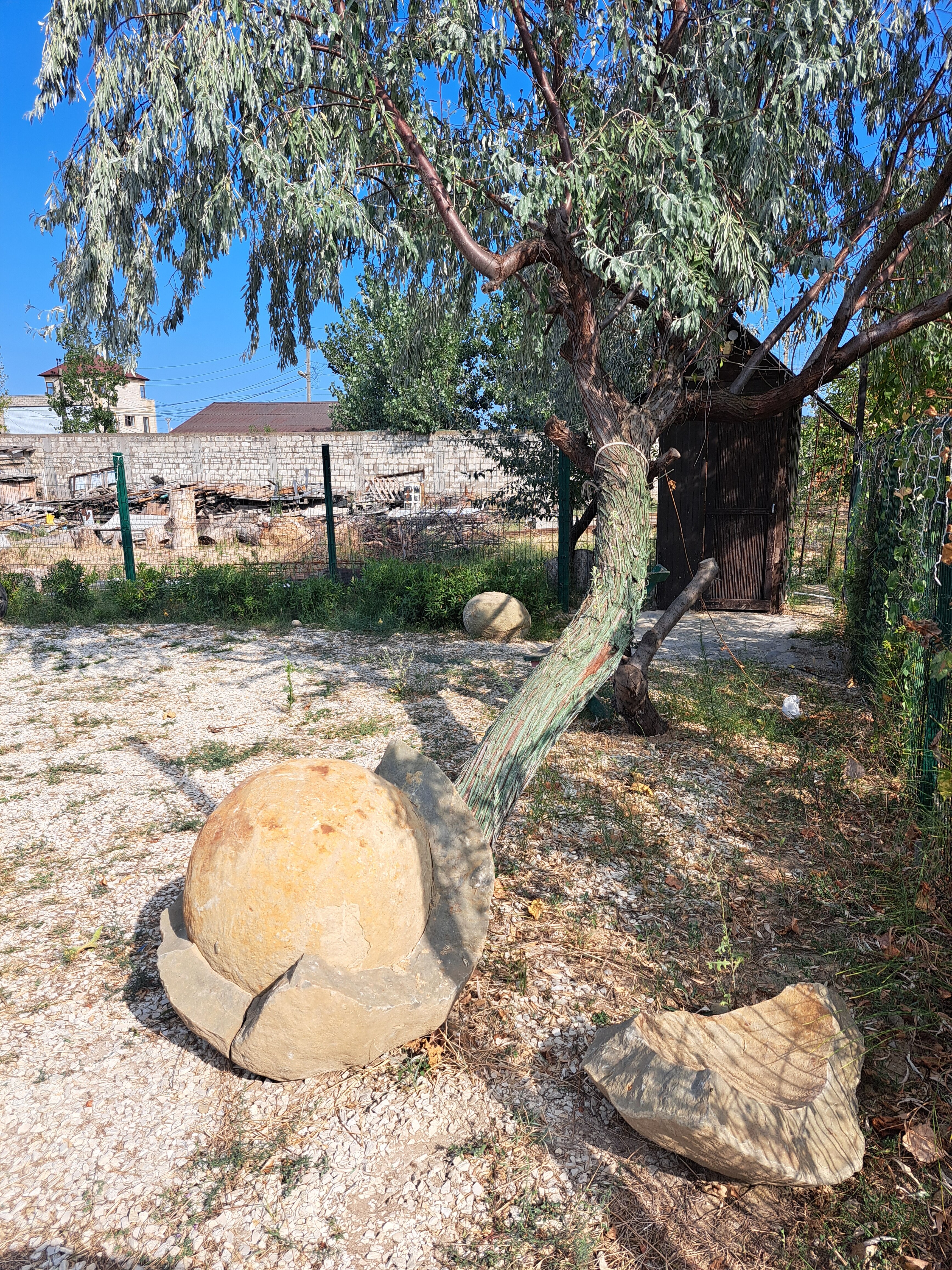 Фото Грин Парк Приморский