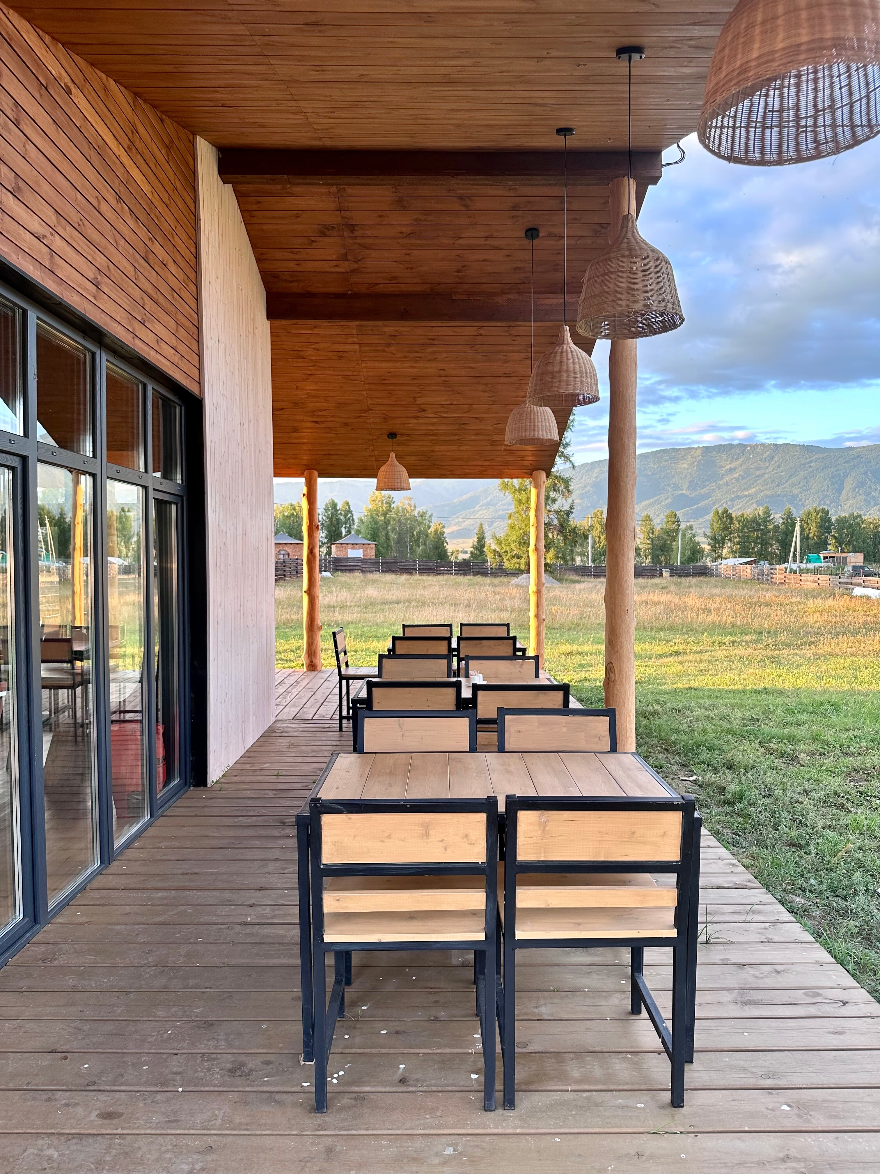 Фото Медуница