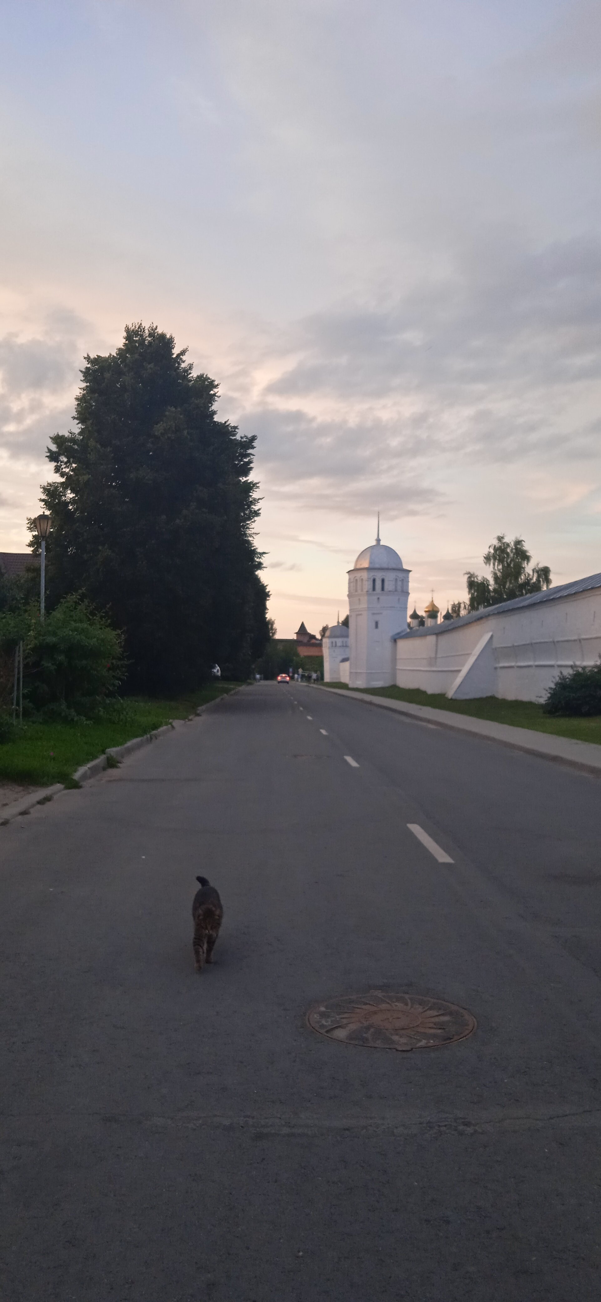 Фото У Прокопа