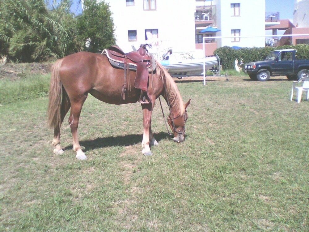 Фото Alexandros M