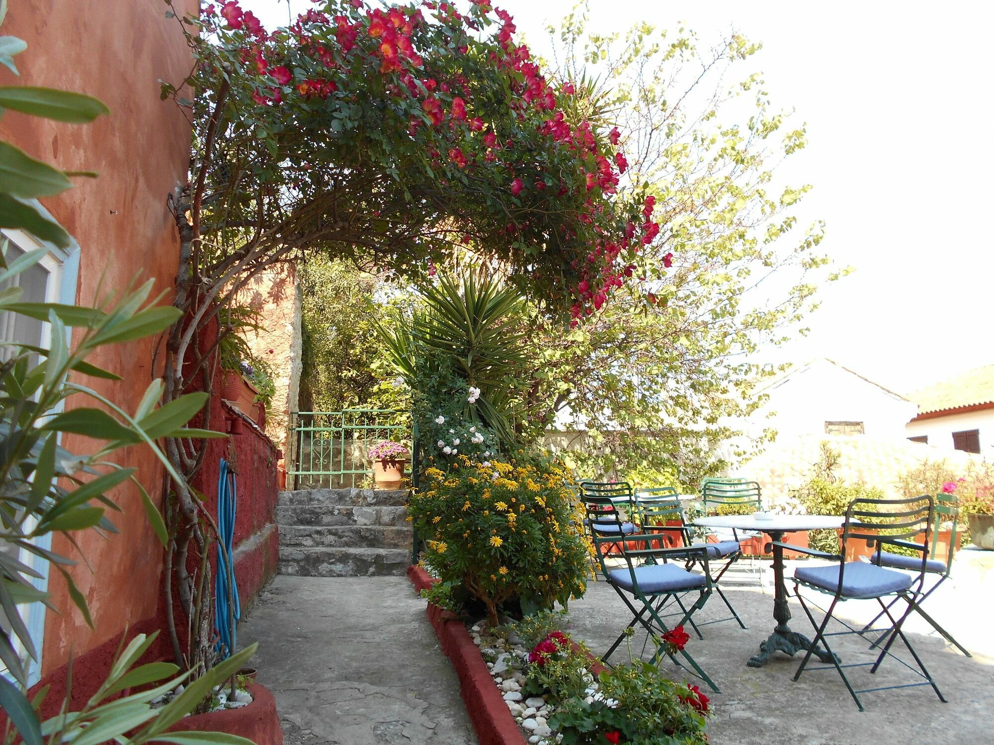 Фото Byron Hotel